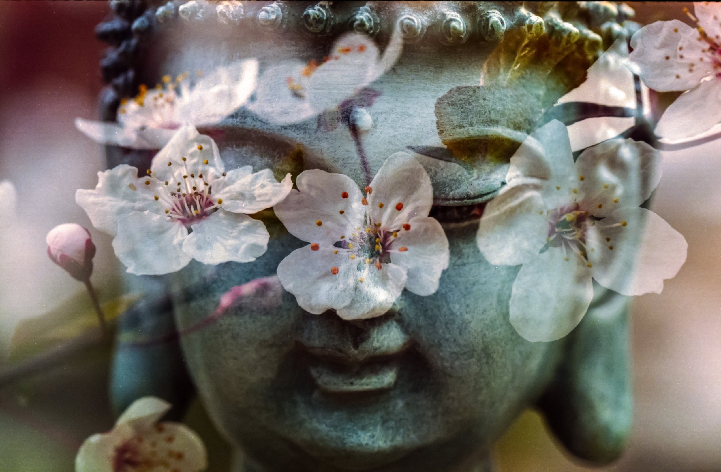 buddha-1279902.jpg
