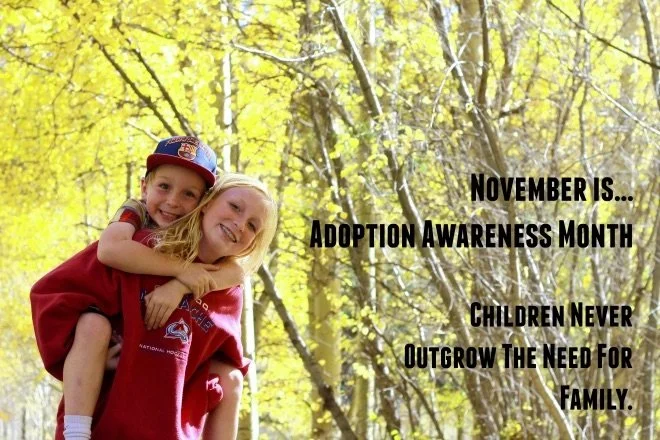 November is Adoption Awareness&nbsp;Month