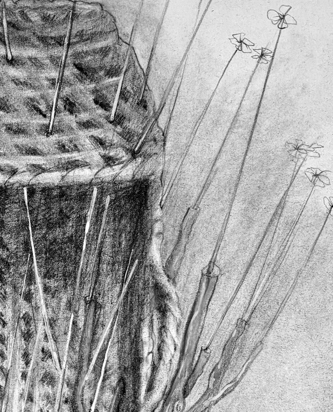 A Wee Bit Weer Spring - detail