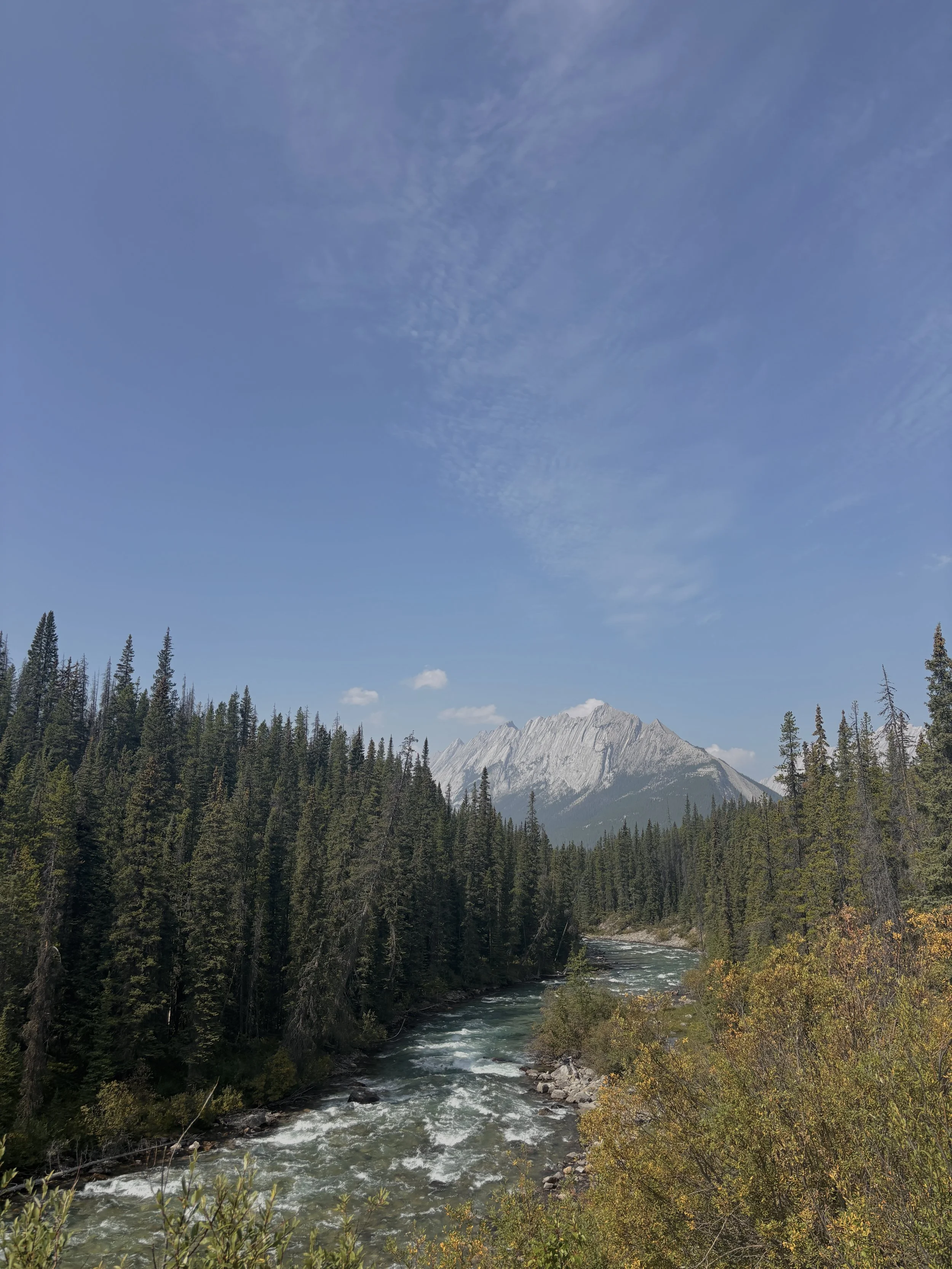 IMG_6754.jpg
