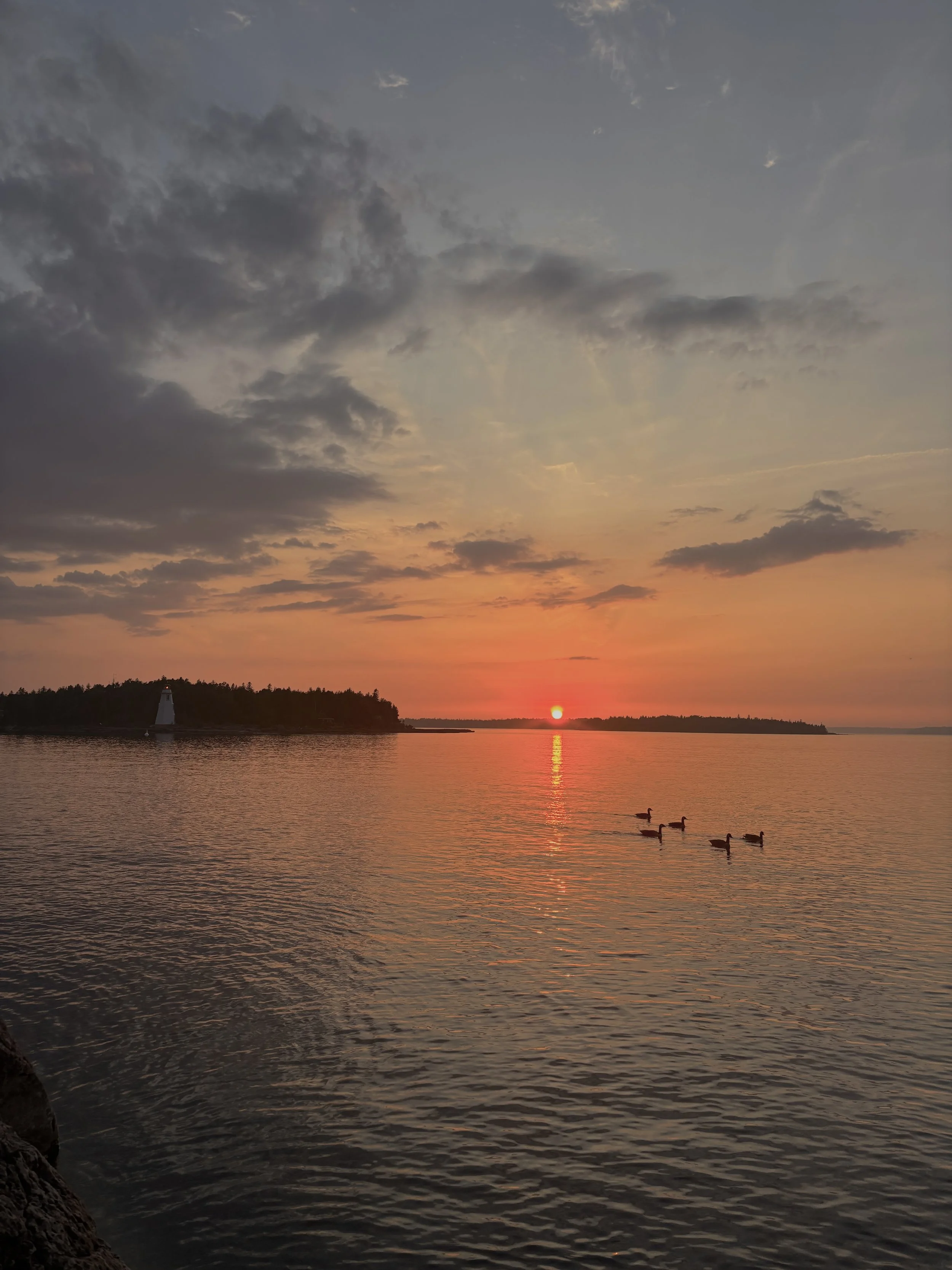 IMG_2768.jpg