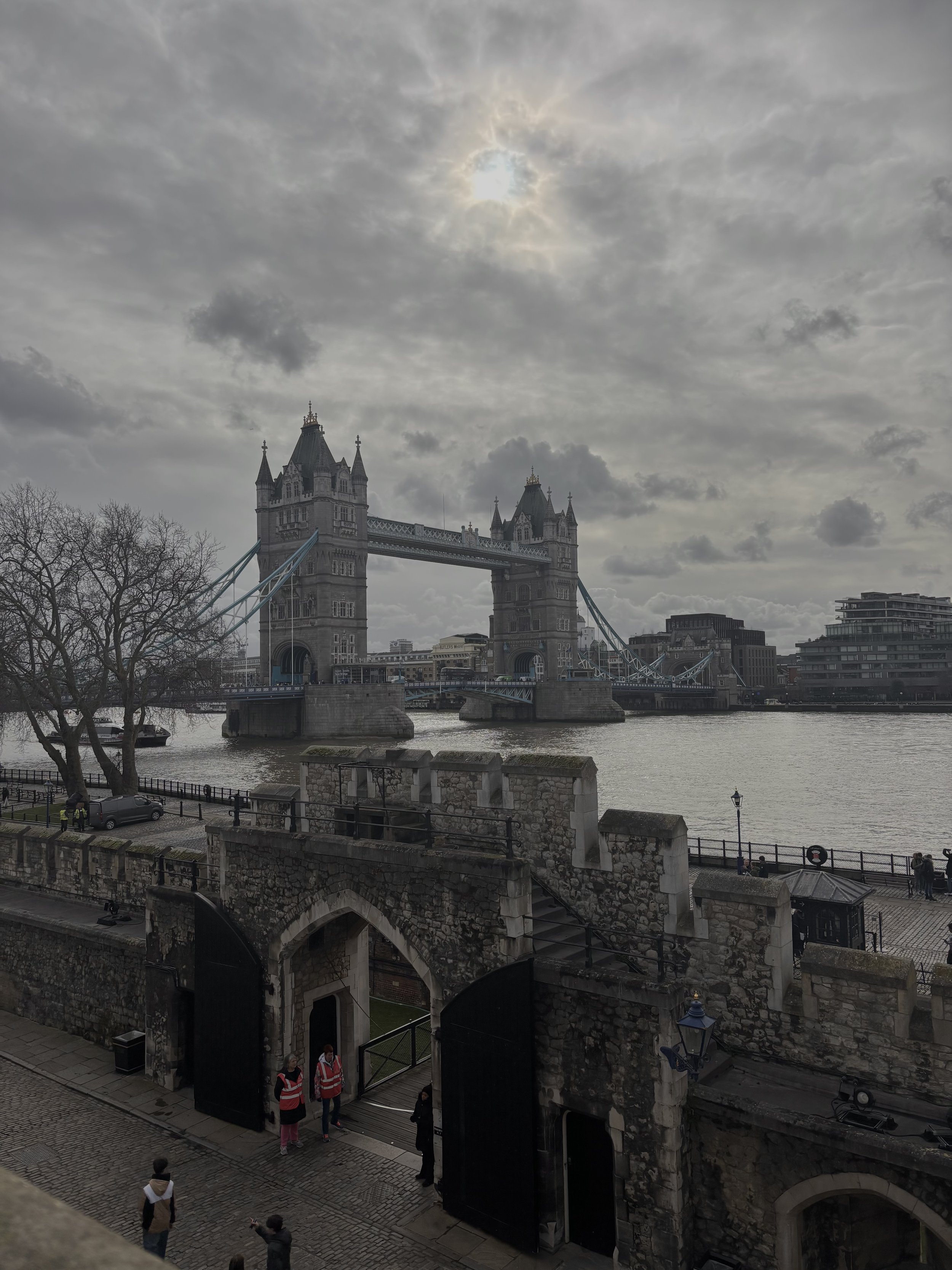 IMG_5830.jpeg