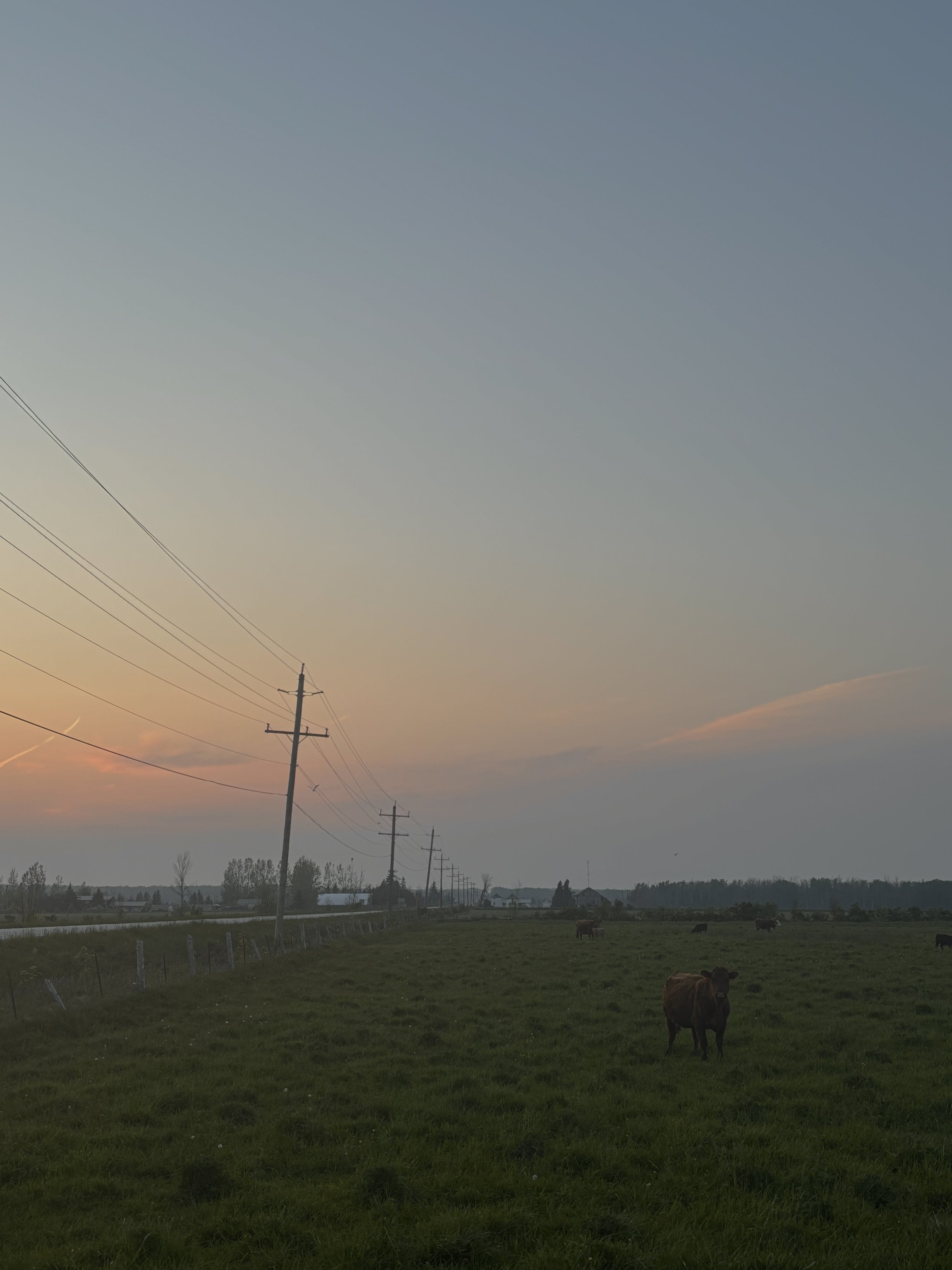 IMG_1659.jpg