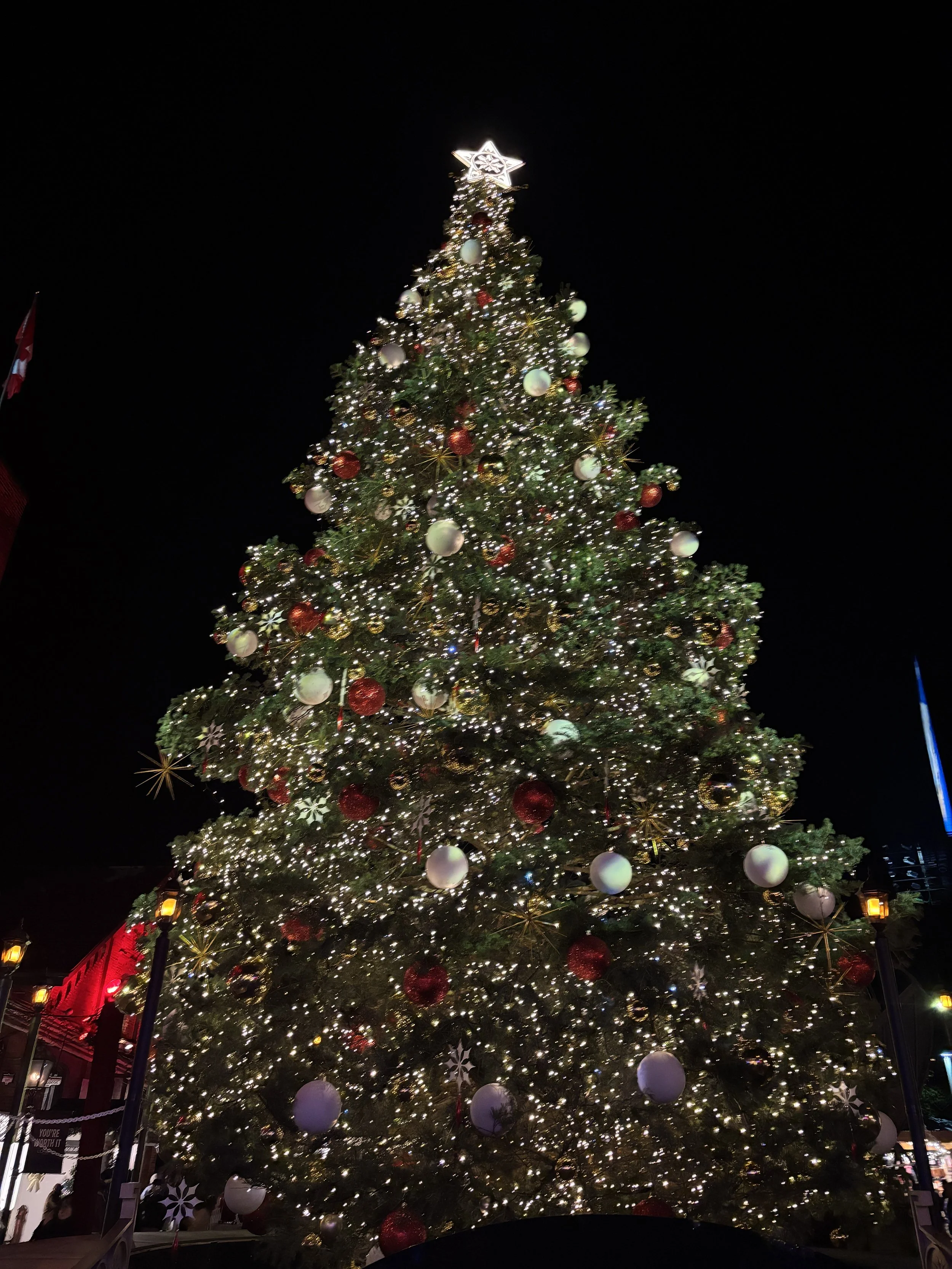 IMG_9684.JPG