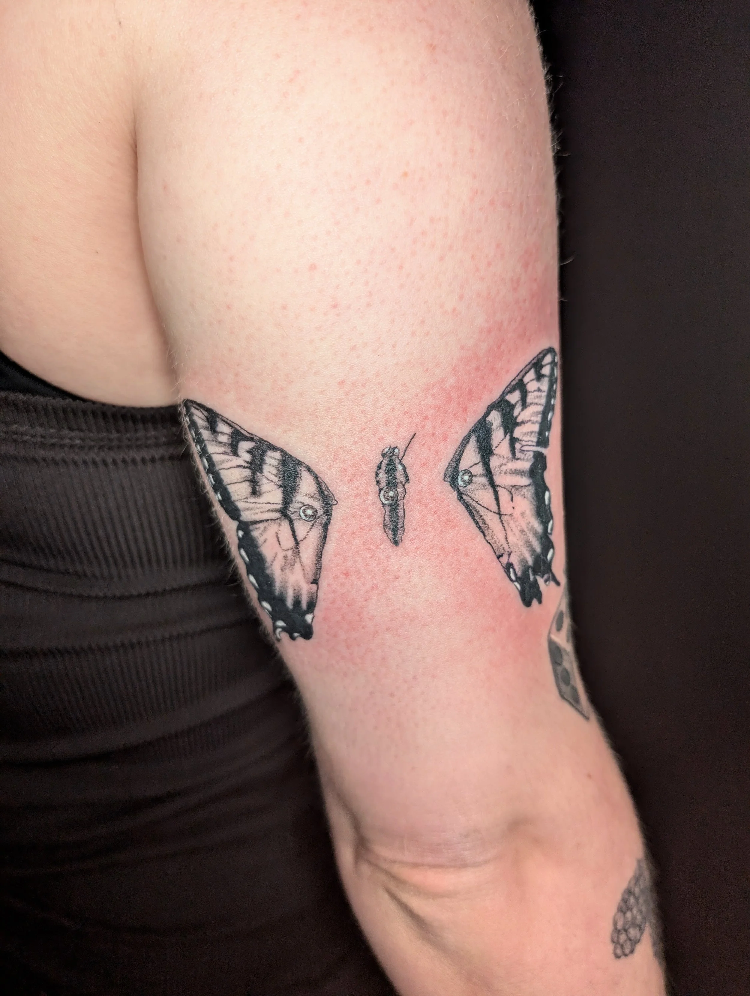 Close-up of a person's upper arm with a tattoo of a butterfly and flowers, and lightly reddened skin from a recent tattoo session.