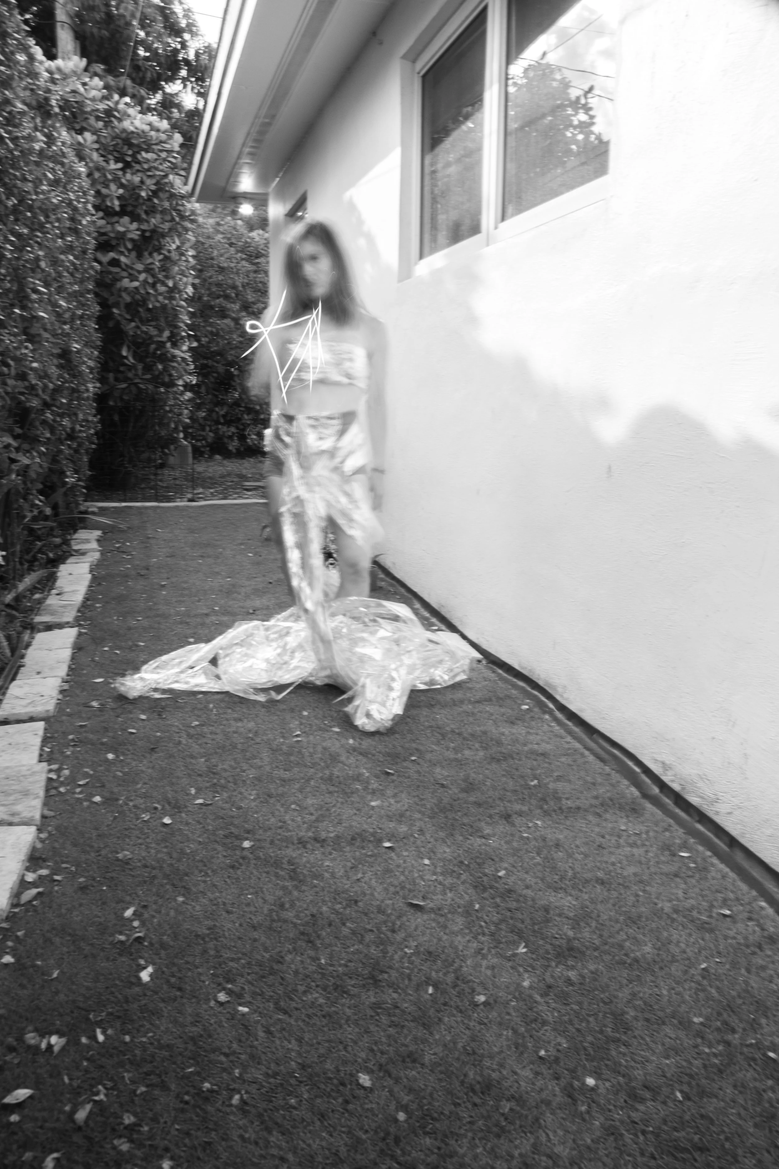 Limerence_cellophane_Feb26_2-15.jpg