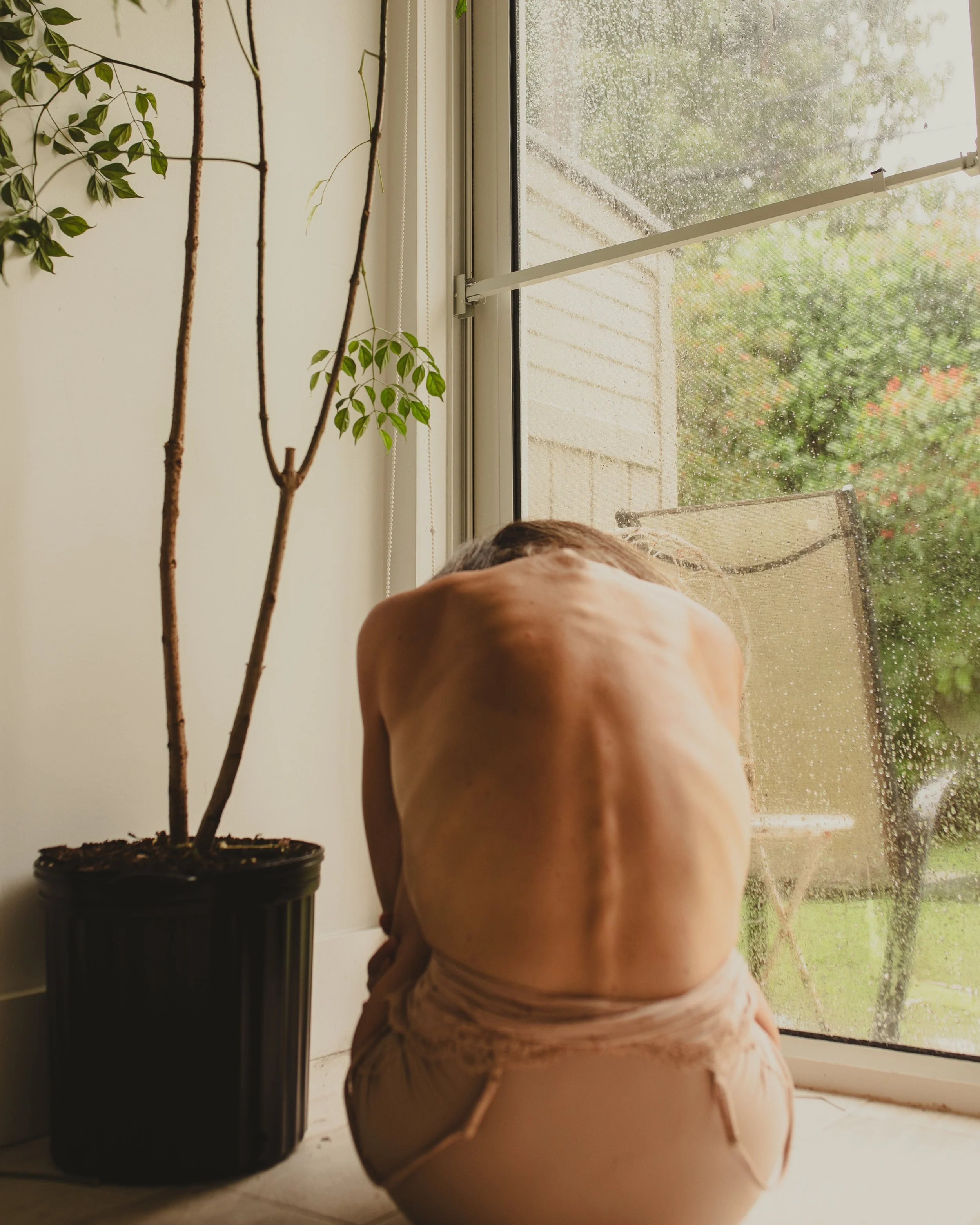 "The Houseplant: Lingering" Limerence Reverie Act III