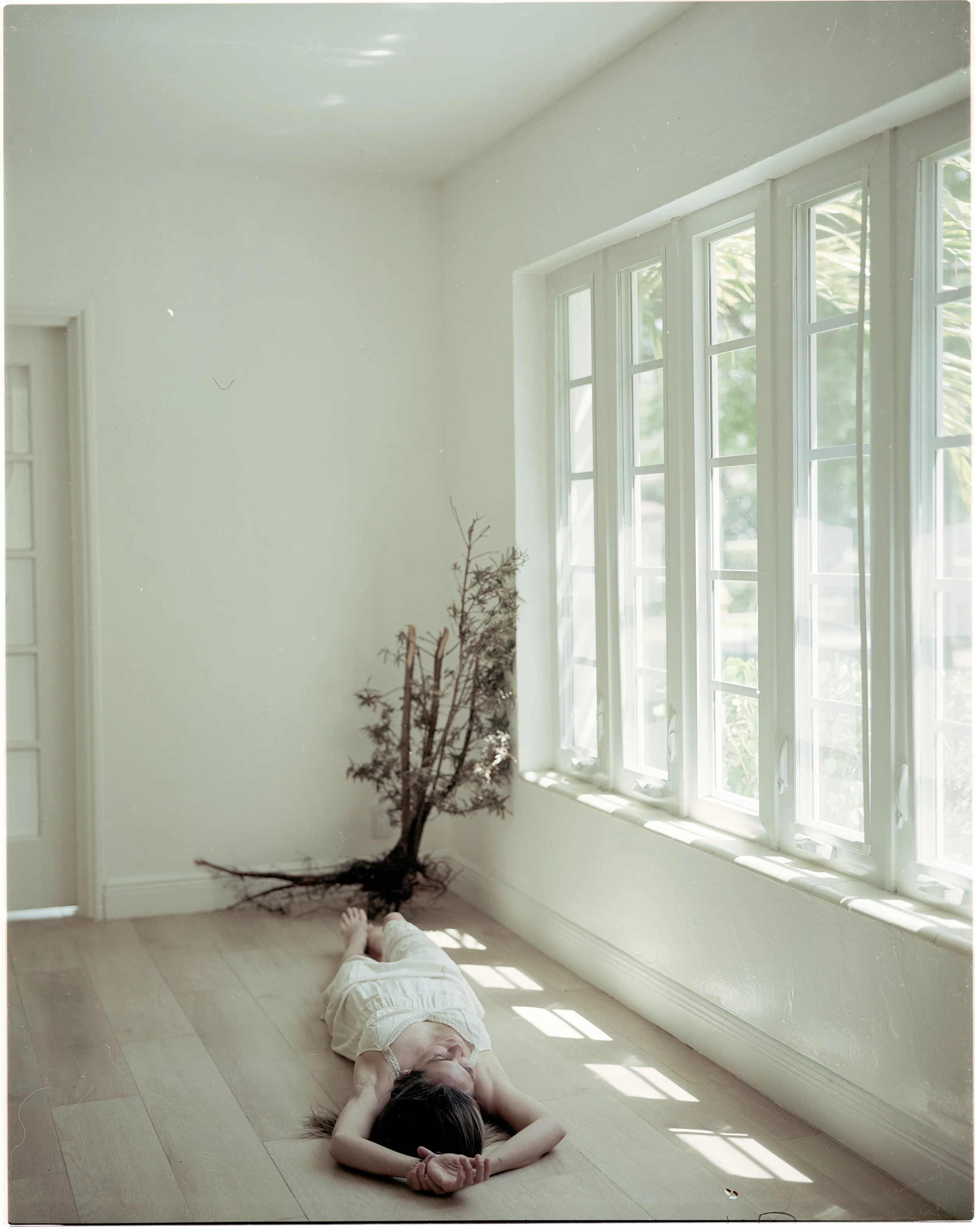 " Uprooted: Limerence Reverie Act III"
