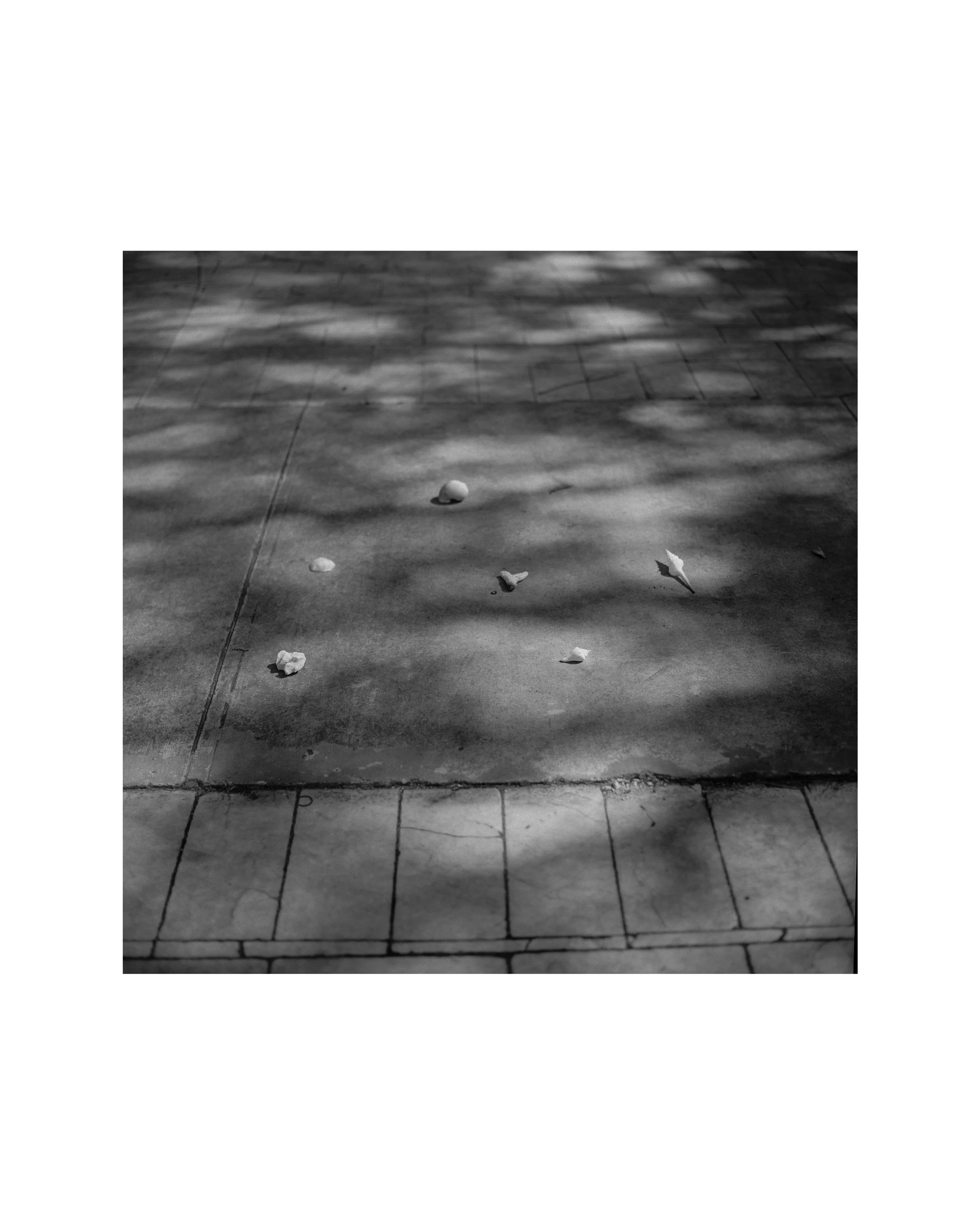 "The Next Shiny Thing"