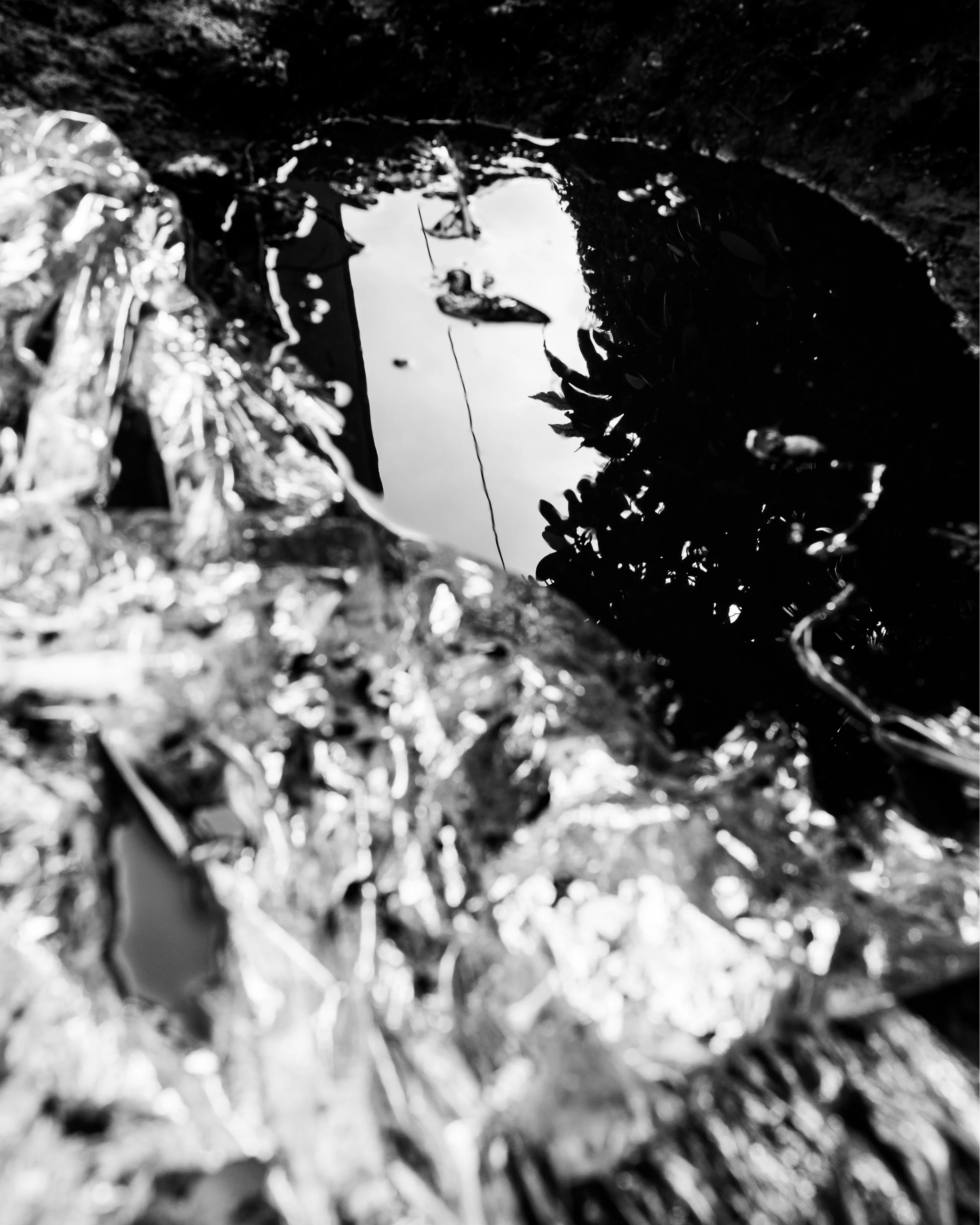 Burial Grounds: All or Nothing