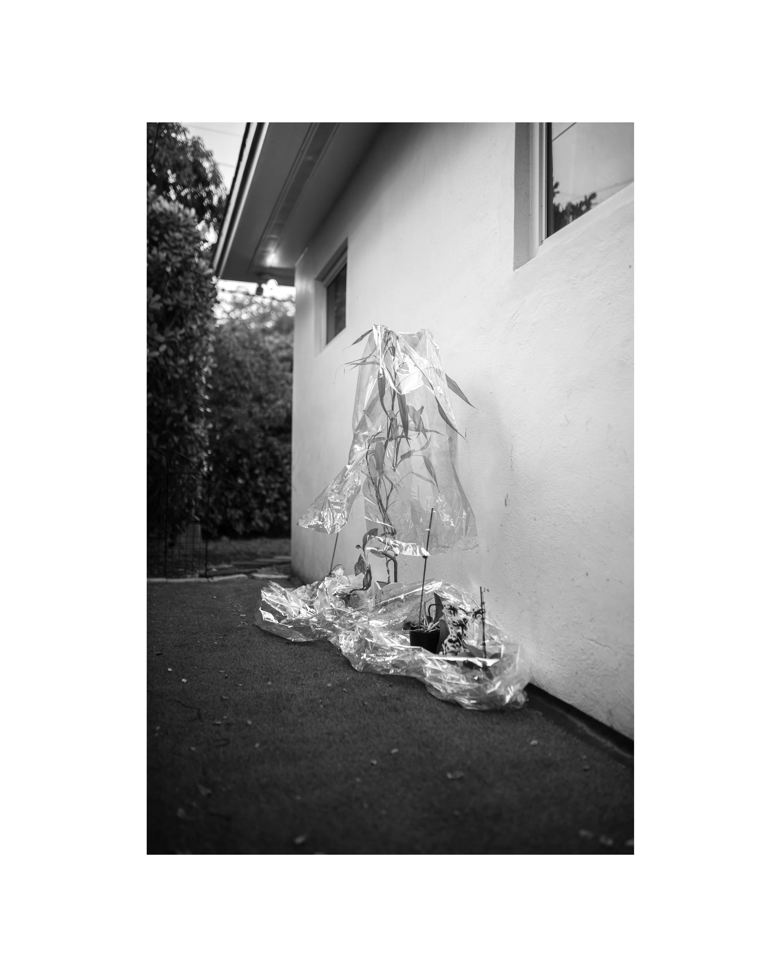 " Triangulations: IV"