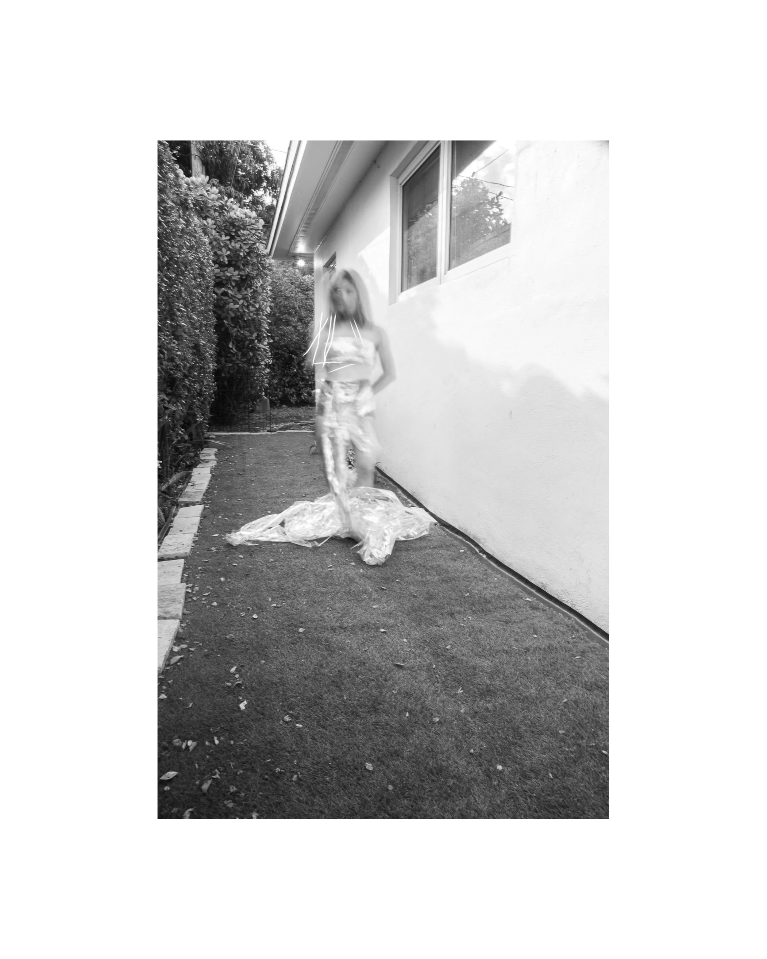 " Triangulations II"