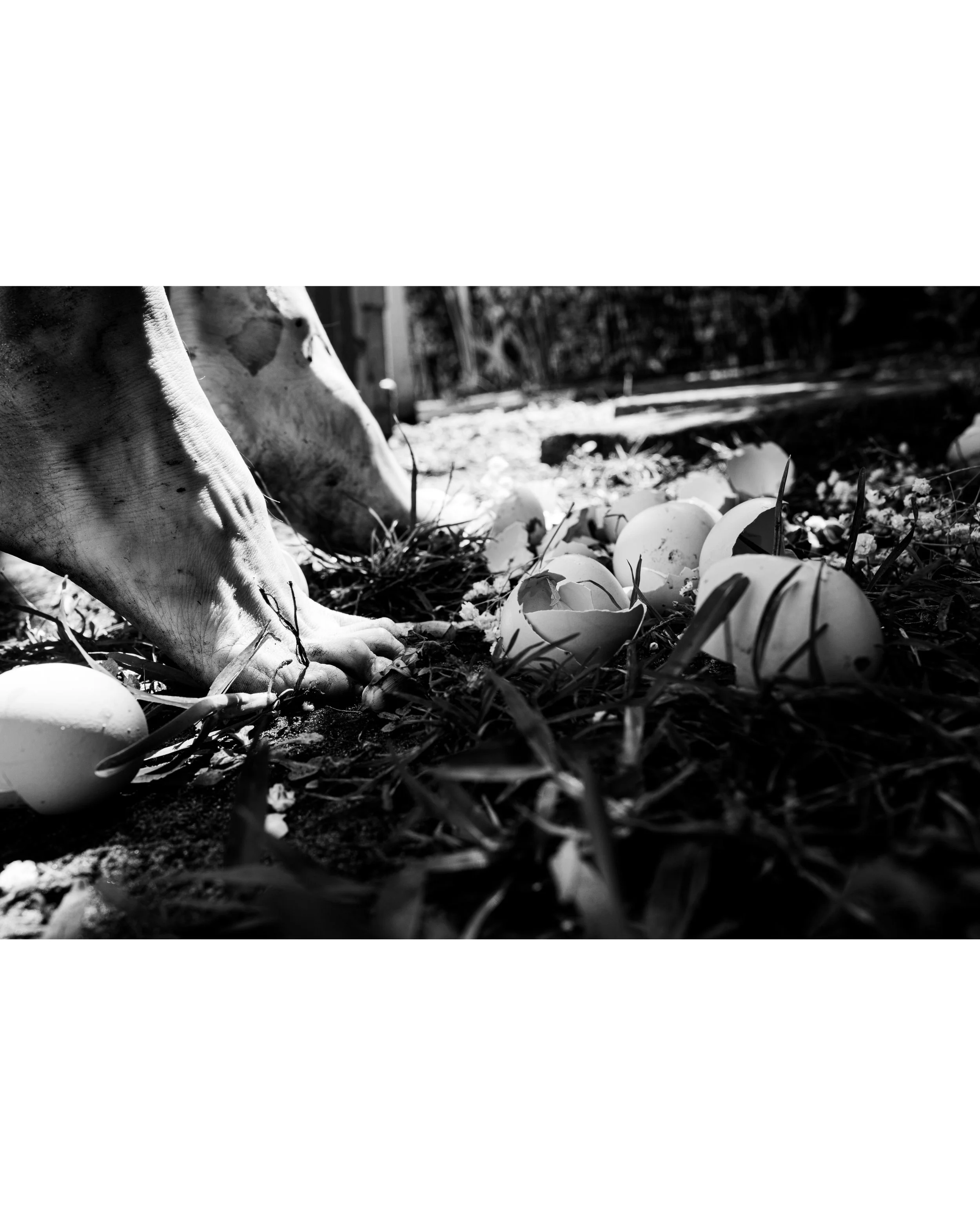 All or Nothing: Waking on Eggshells