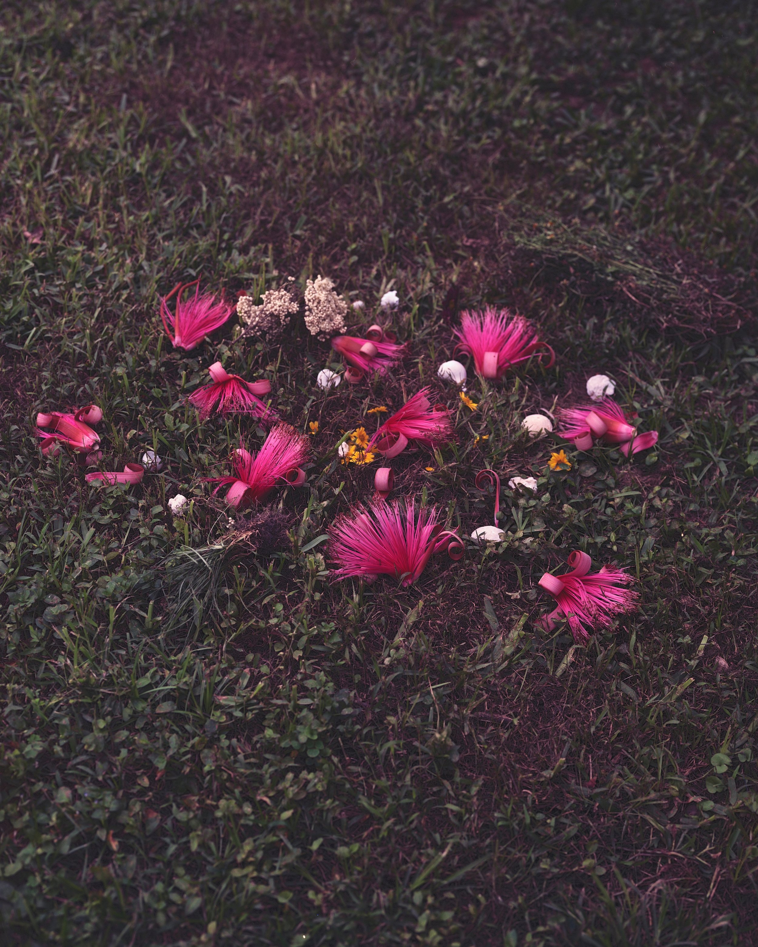 "I Am Blood: Limerence Reverie Act III"