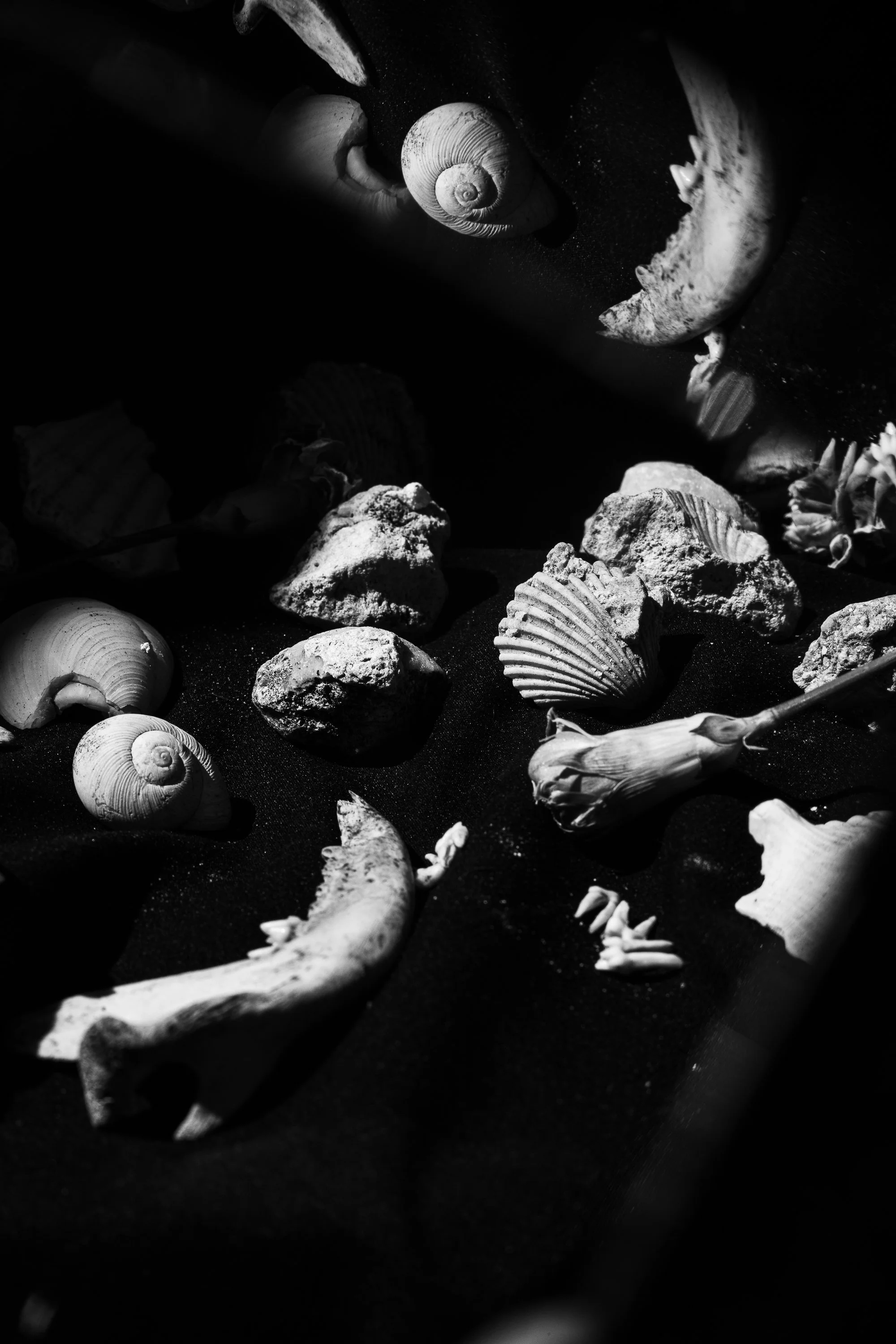 burialGround_feb26_4TighterEdit-27.jpg