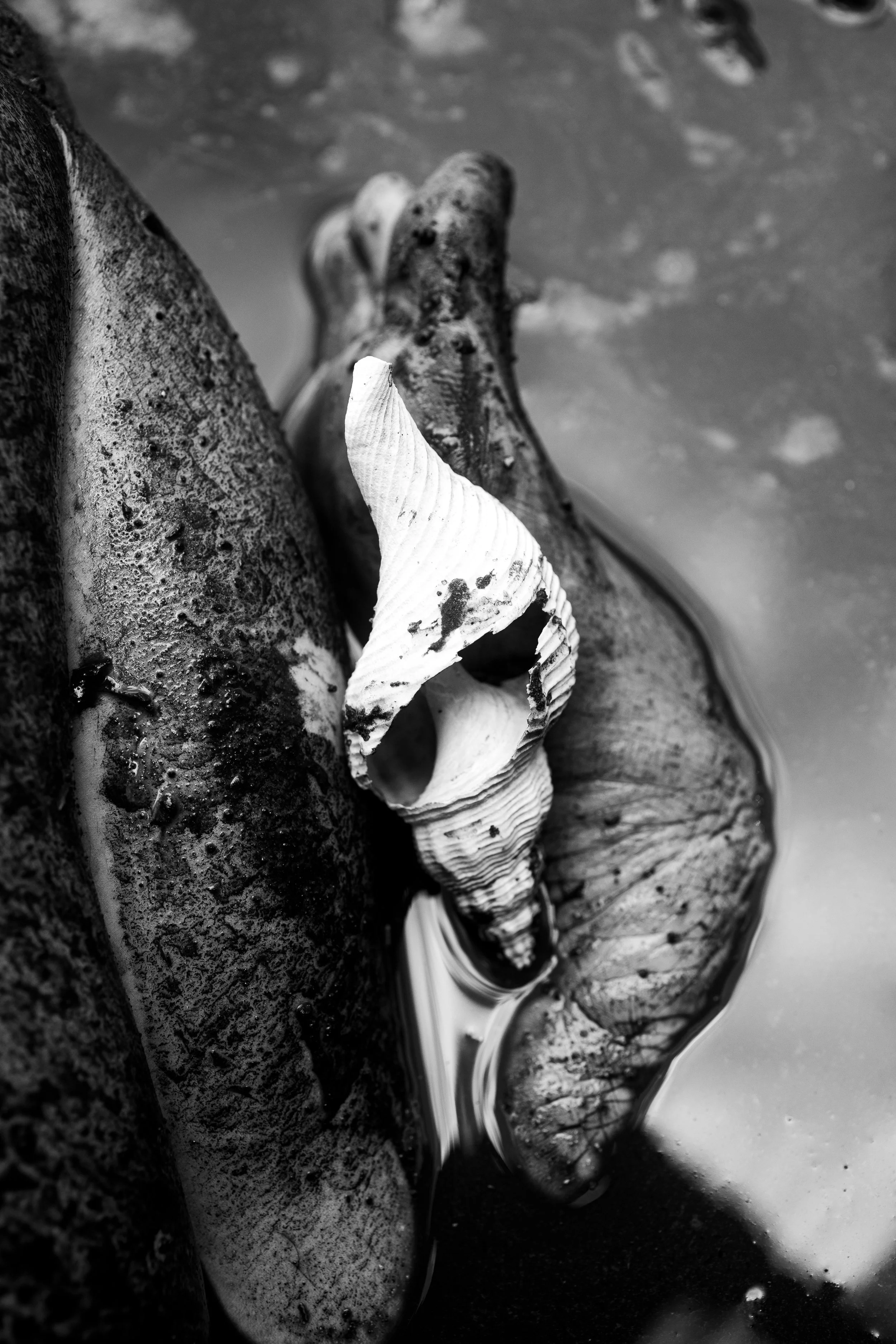 StillInTheBurialGrounds-7.jpg