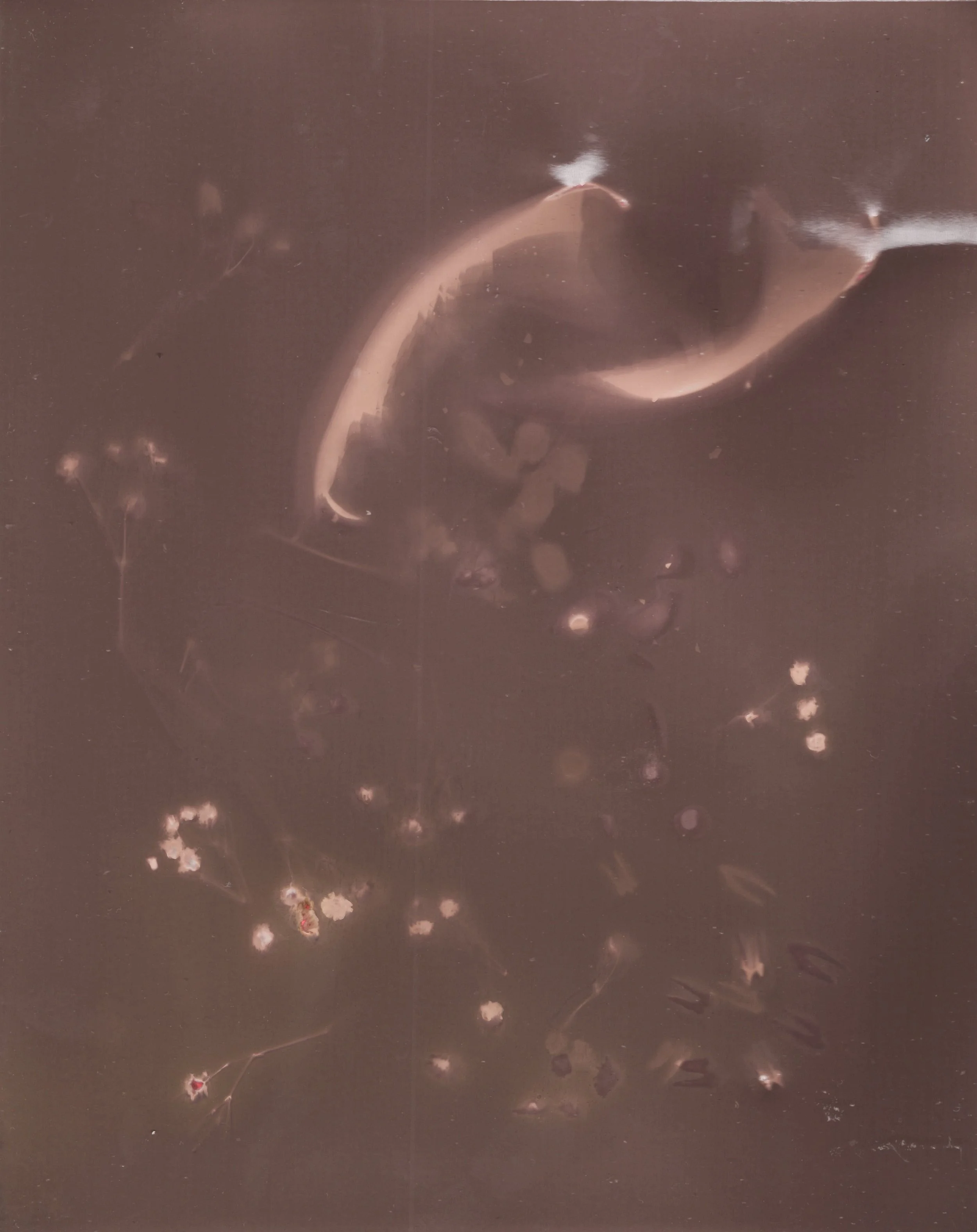 Lumens_Penumbra_Melissa-6.jpg