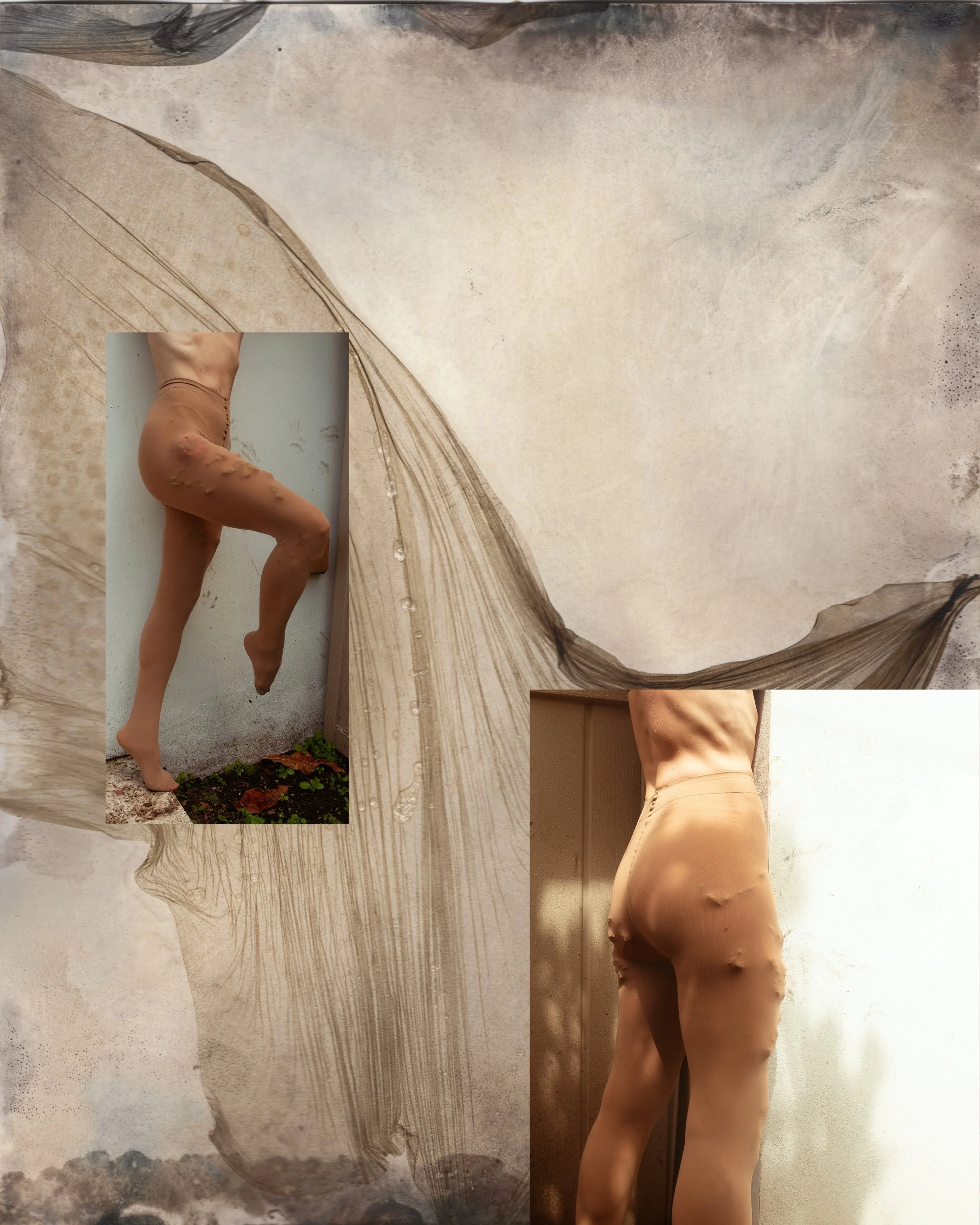 Hallucinatory Reveries