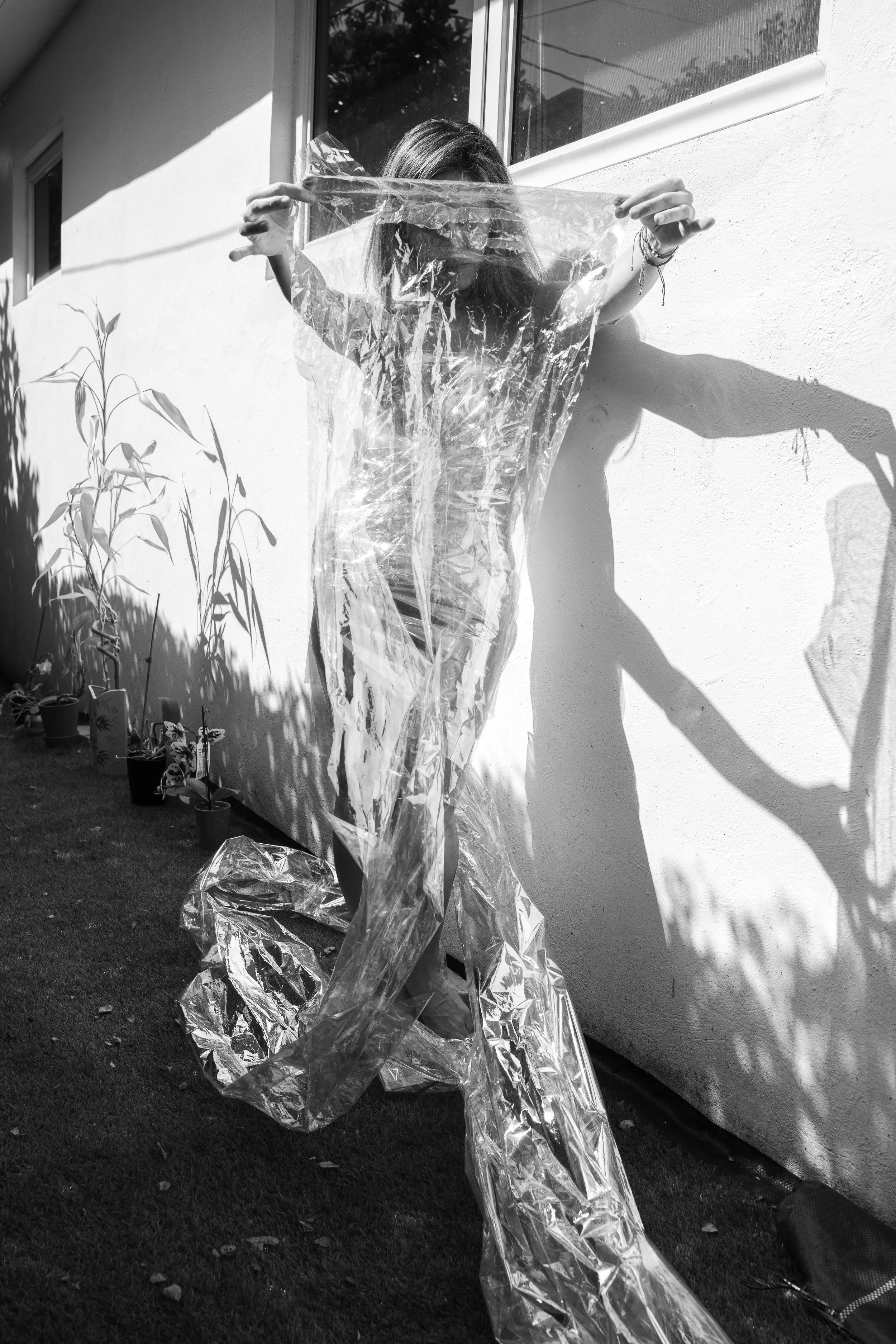 Limerence_cellophane_Feb26_7-11.jpg