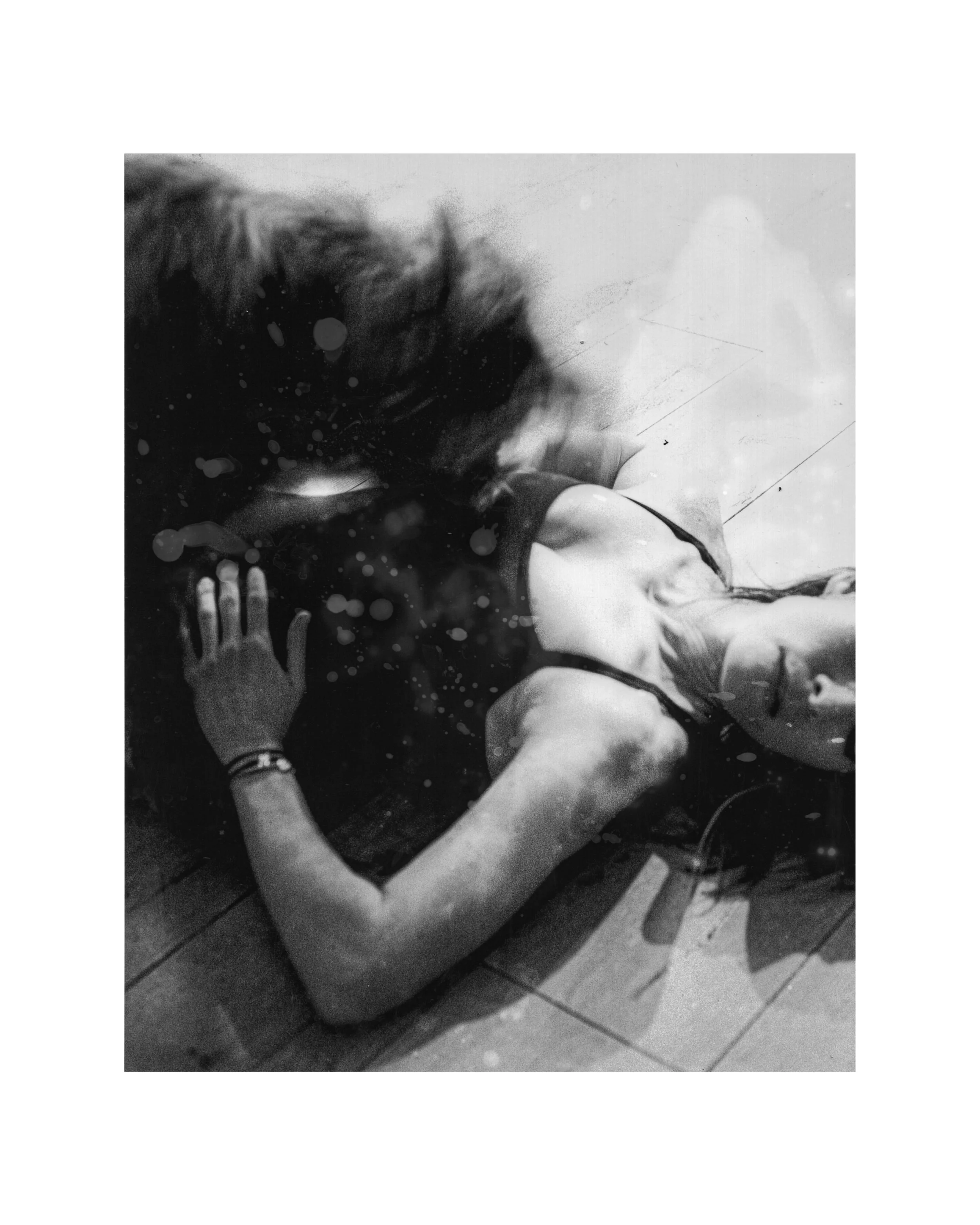 "Ferality as Grief: Undomesticated"