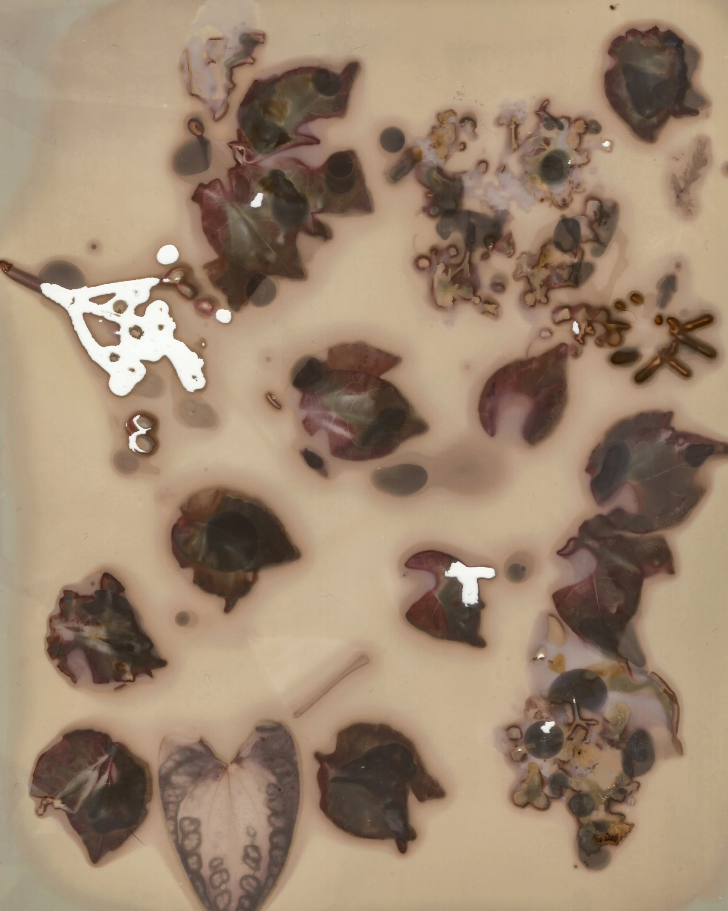 73.jpg