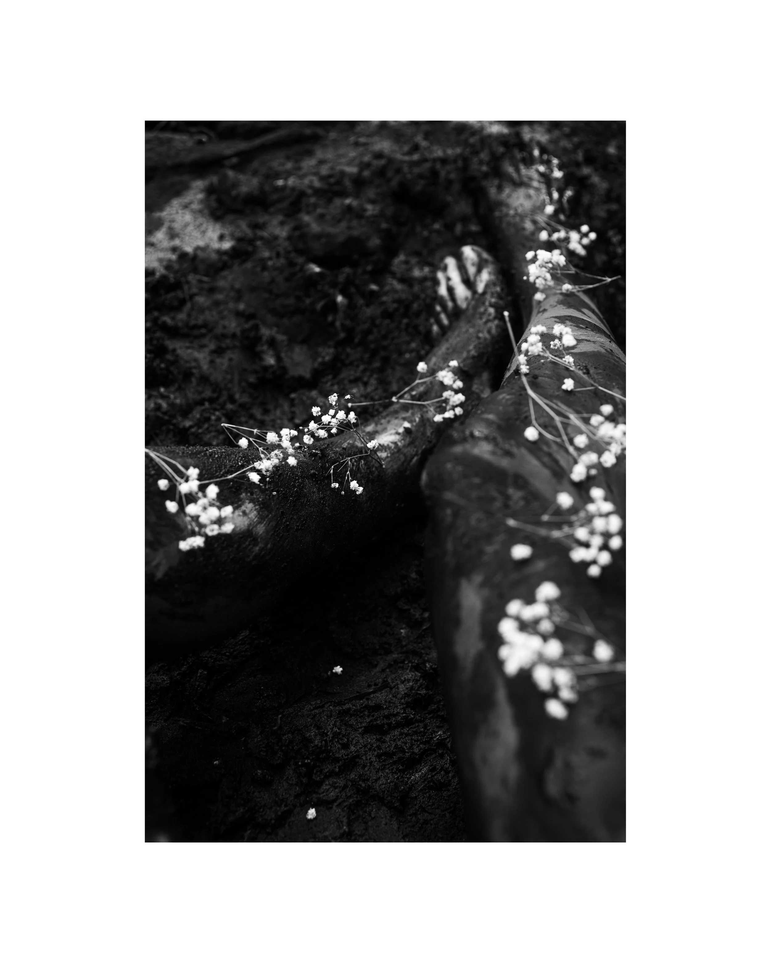 " Burial Ground"s": Time Ellipsis "