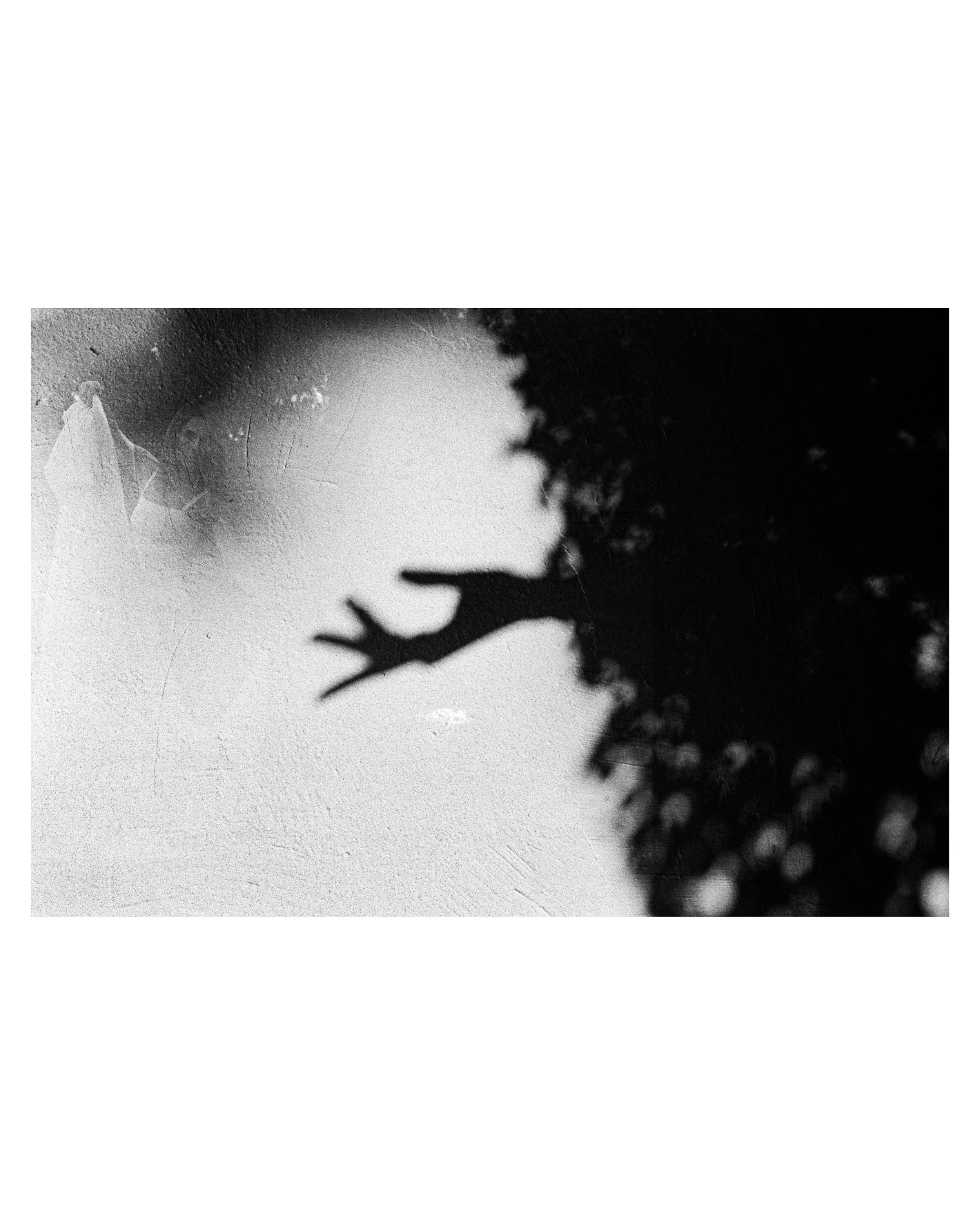 " The Myth of Echo and Narcissus"