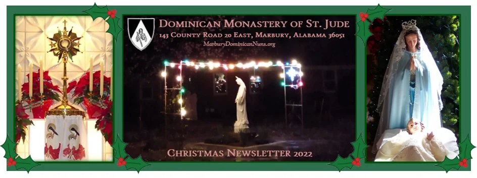 Christmas Newsletter 2022