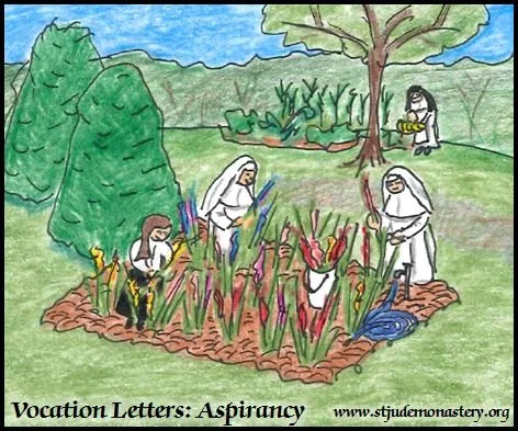 Vocation Letters: Beginning the Aspirancy