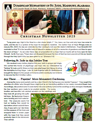 Christmas Newsletter 2025