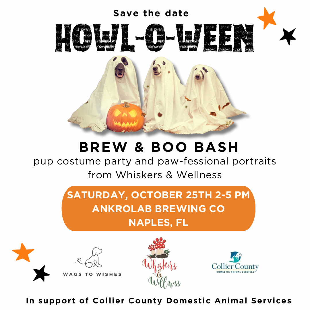 Howl-O-Ween Brew & Boos Bash