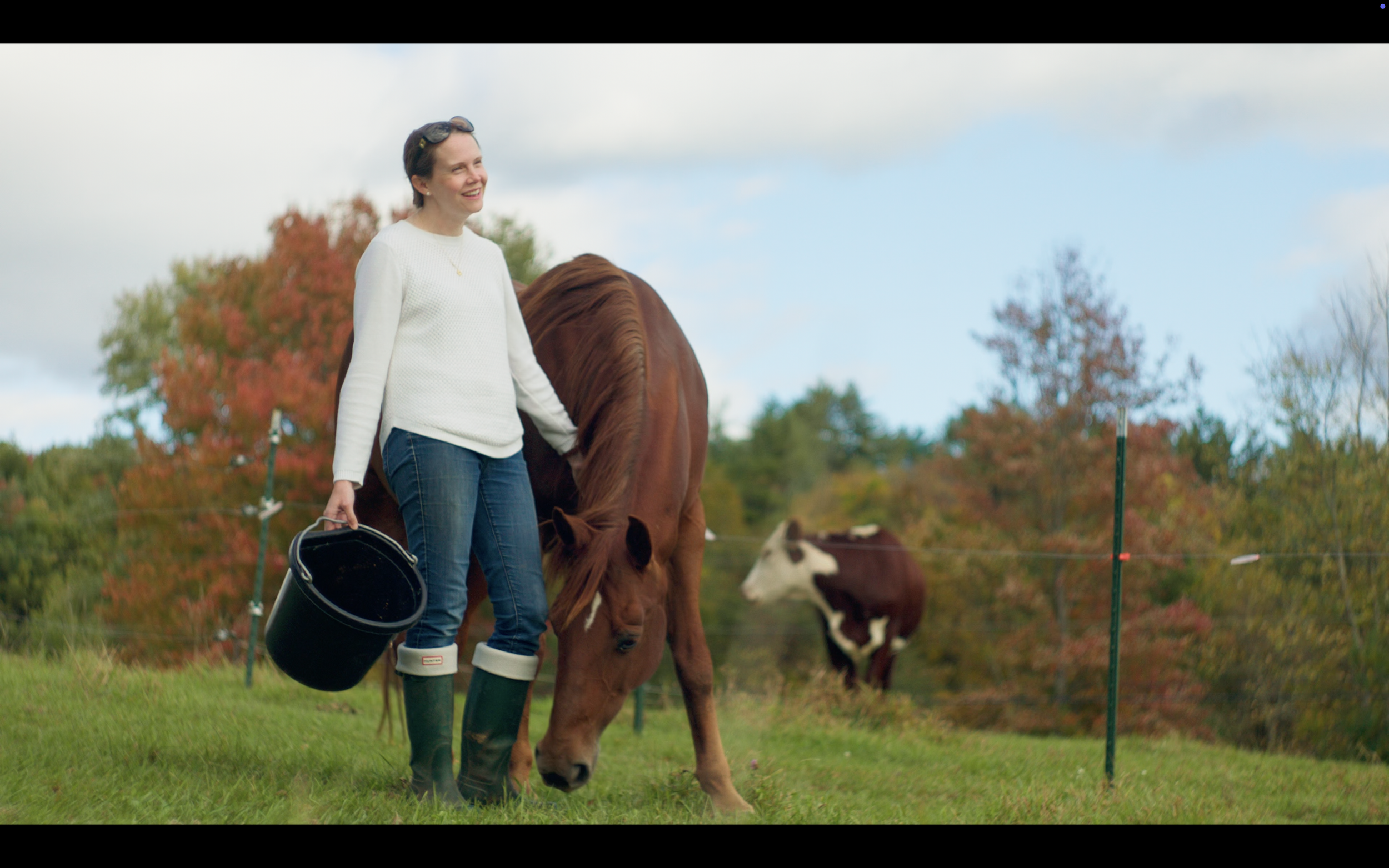Woman in white sweater and jeans with a bucket, next to a brown horse grazing in a grassy field during fall, with autumn trees and a cow in the background.