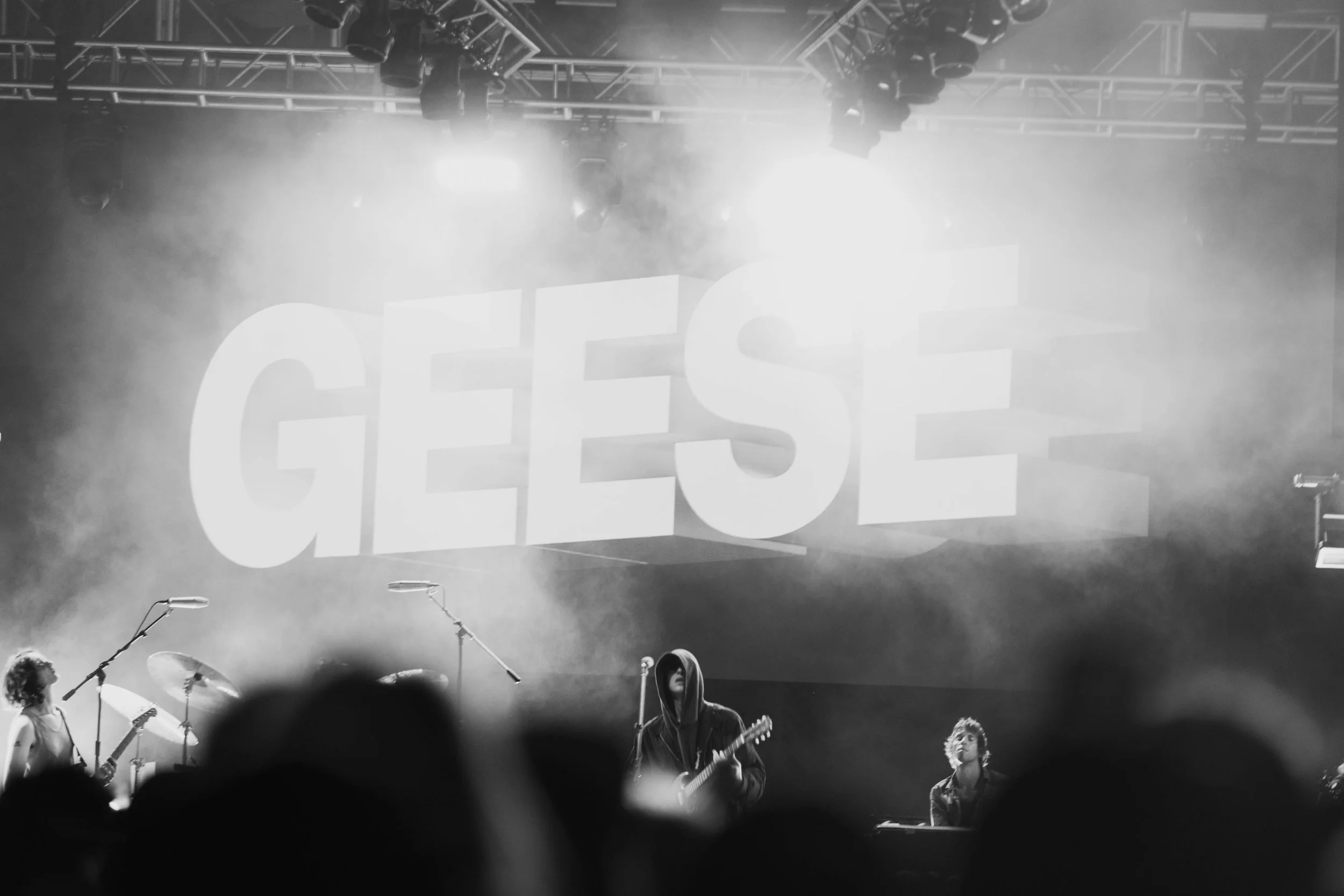 danielashella_@danielashella_MAINSTAGE_GEESE-9.jpg