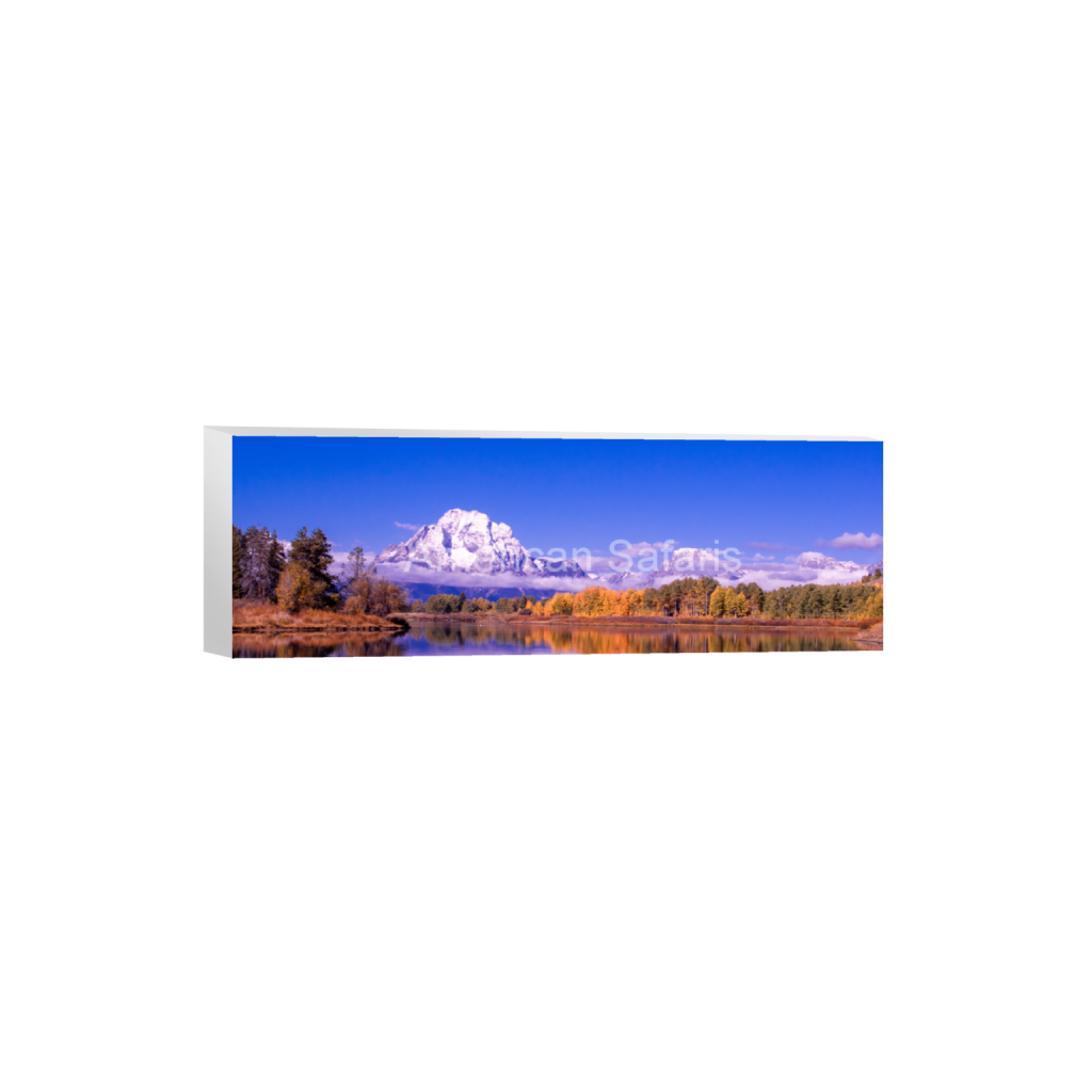 ptq_7_2_0_206_4423_1474_0_false_ffffff_0_0_47a832ce6c55e16fa7c471c32c61b9c0.png