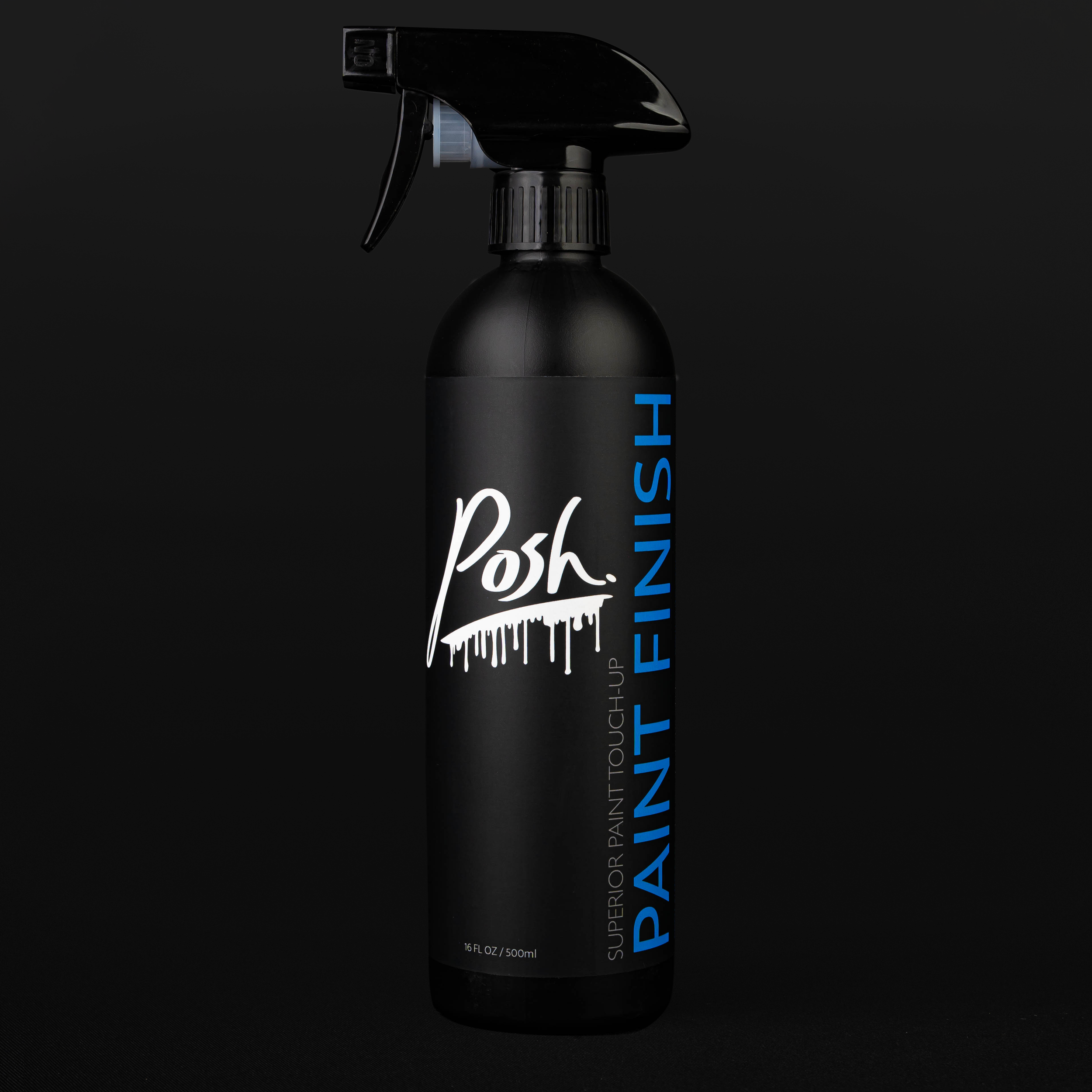 Posh Paint Finish.png
