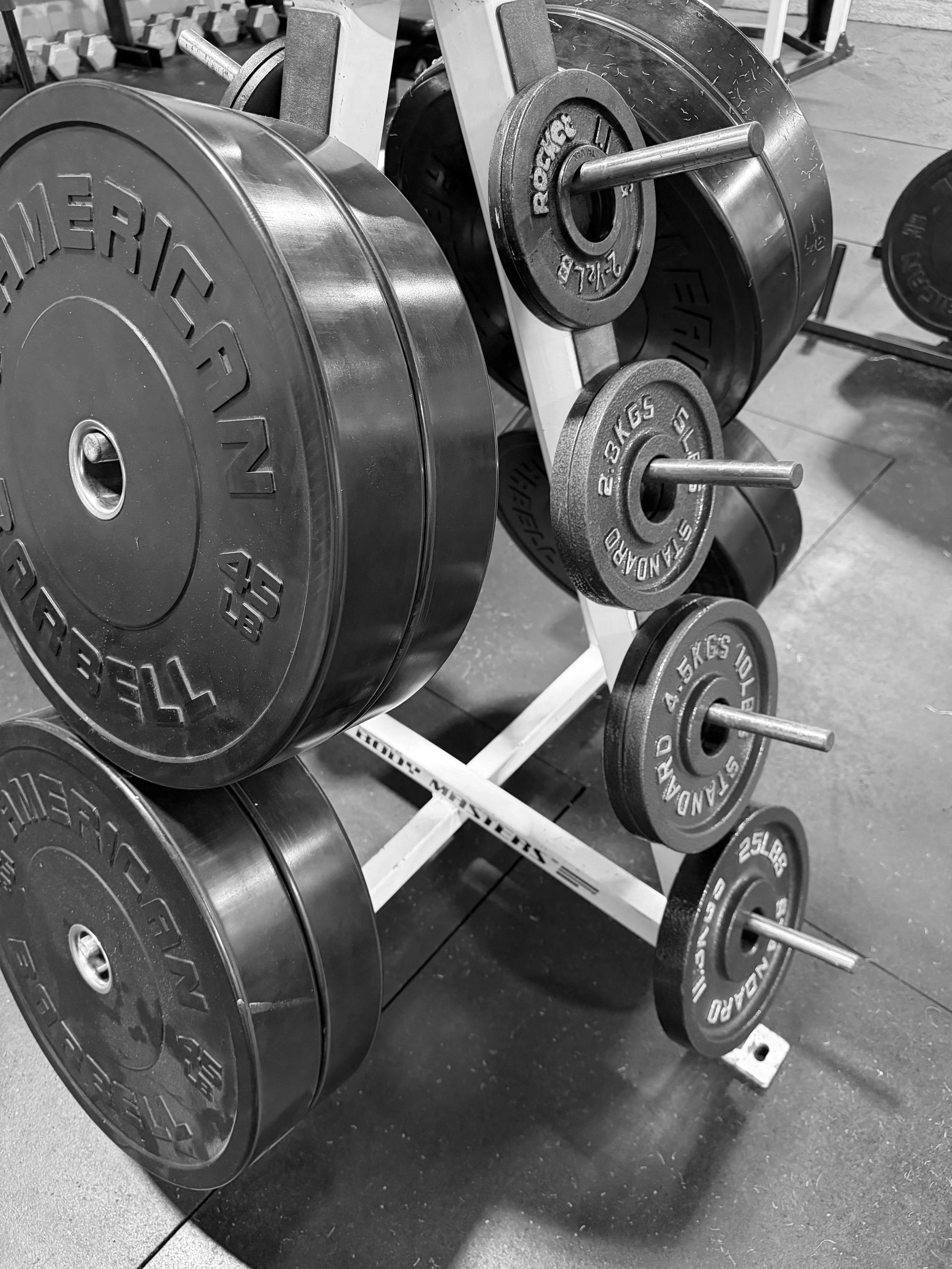 Weight plates on a weight rack in the gym.