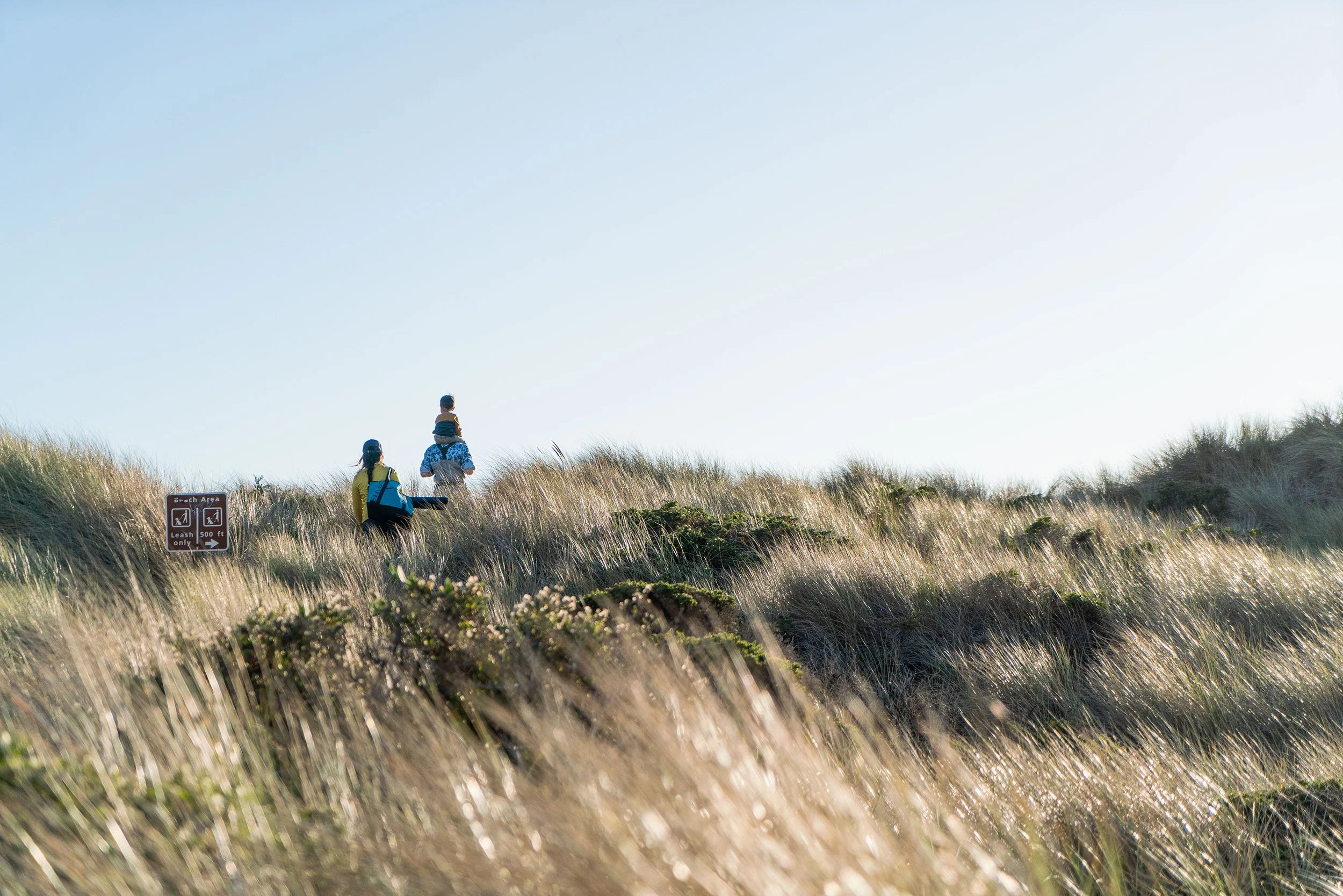 Ca_PointReyes_9212.jpg