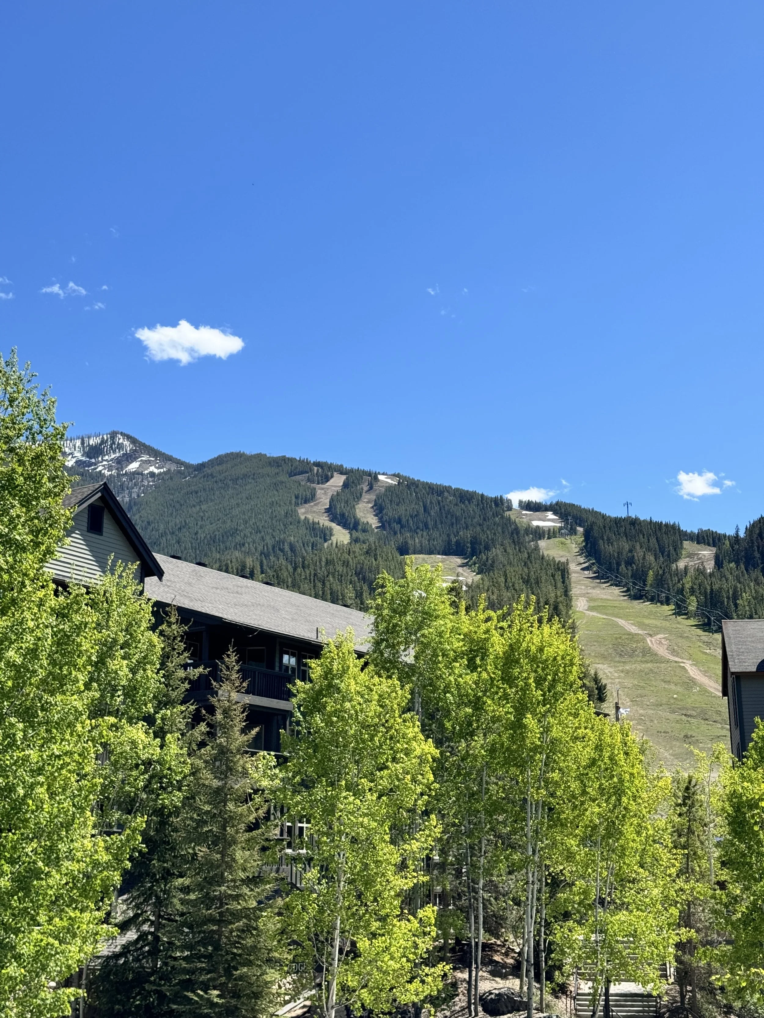 View to Hill from Living Room