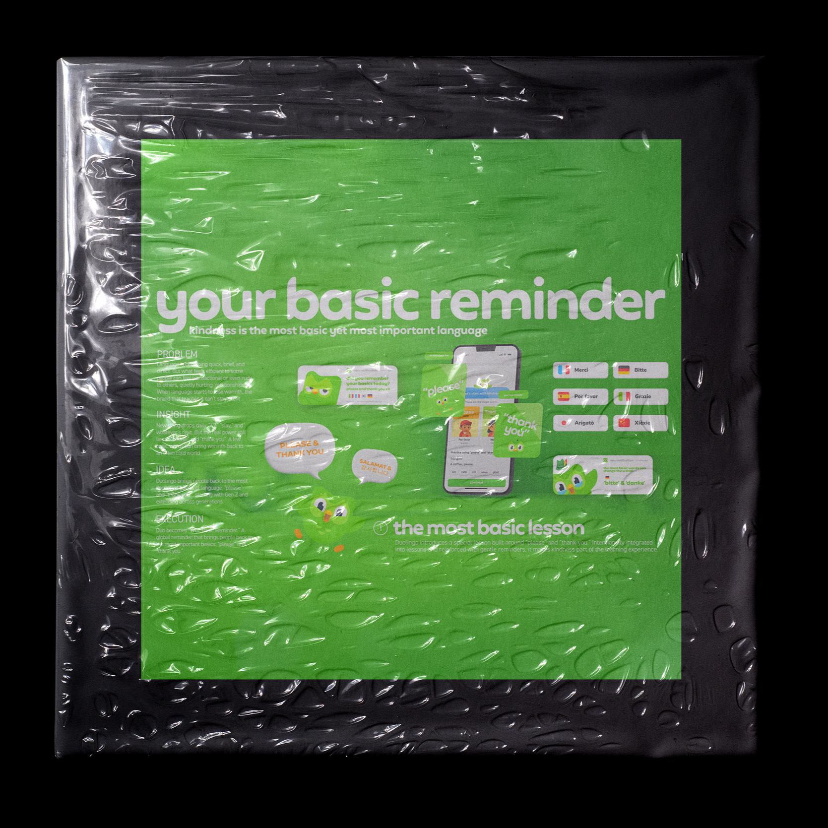 Duolingo - Your Basic Reminder