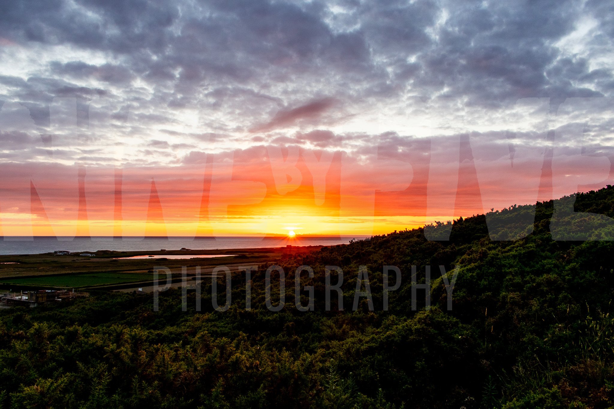 IMG_0634 copy.jpg