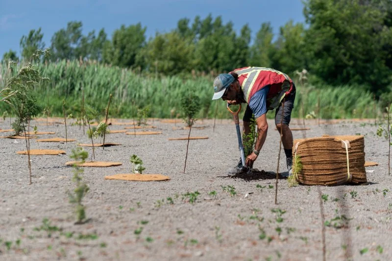 Une avancée majeure pour le projet de parc agricole métropolitain de Contrecœur