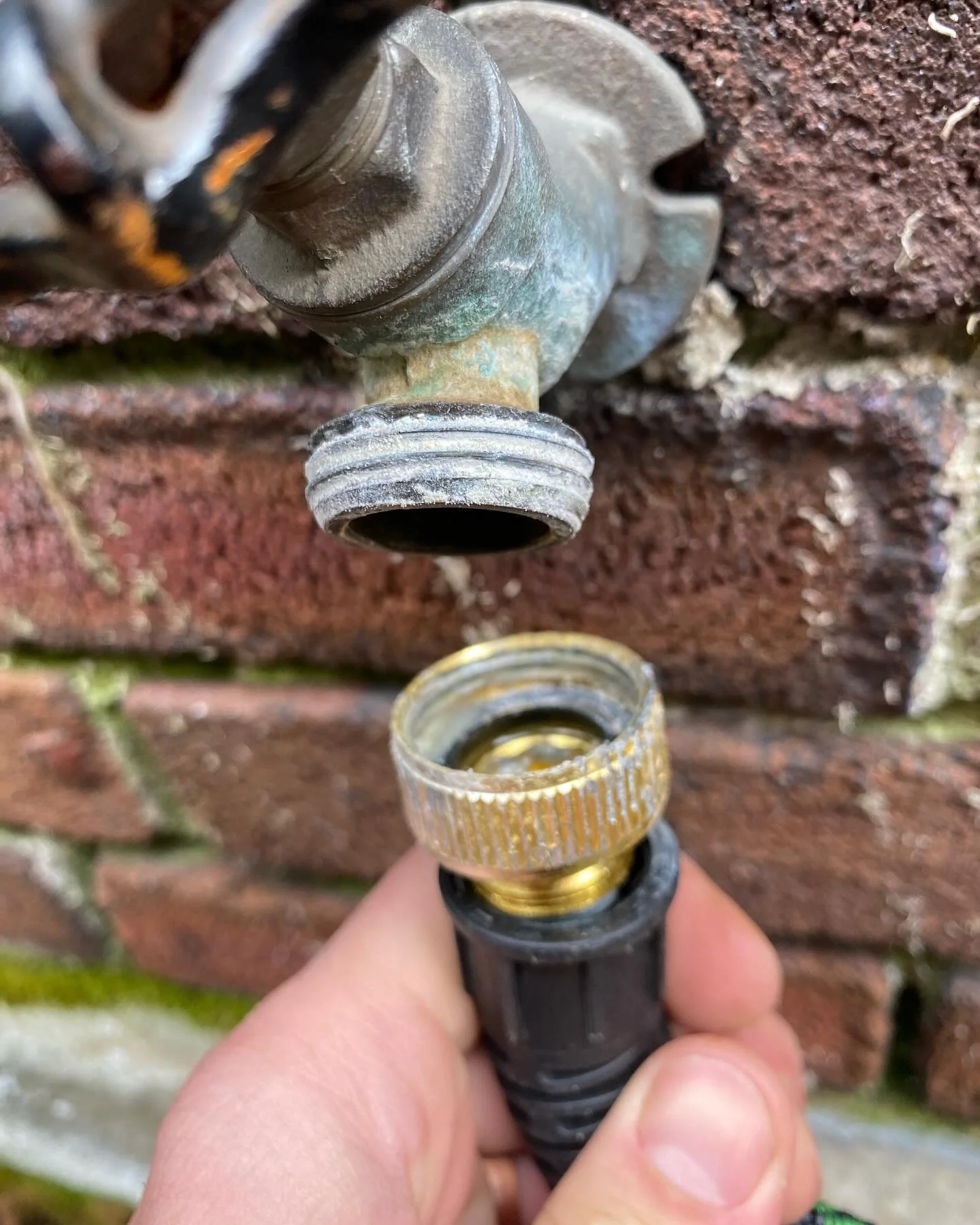 Just a PSA that you should splurge for the better quality hoses with solid brass connections. The newer/cheaper hoses these days are made of aluminum, which being a dissimilar metal to the brass hose bib causes electrolysis and corrosion. This corros