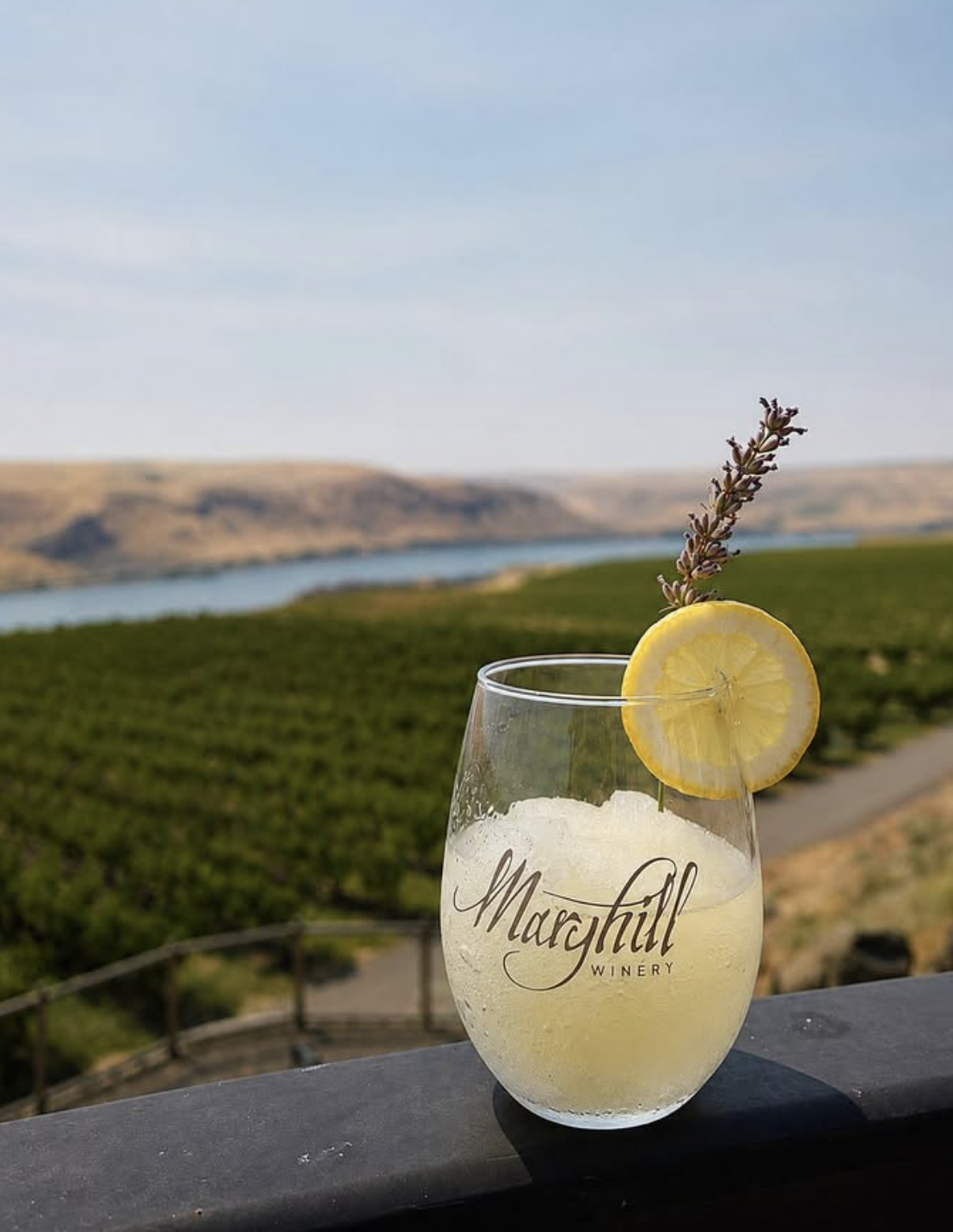 Maryhill Winery's Lemon Lavender Frosé 