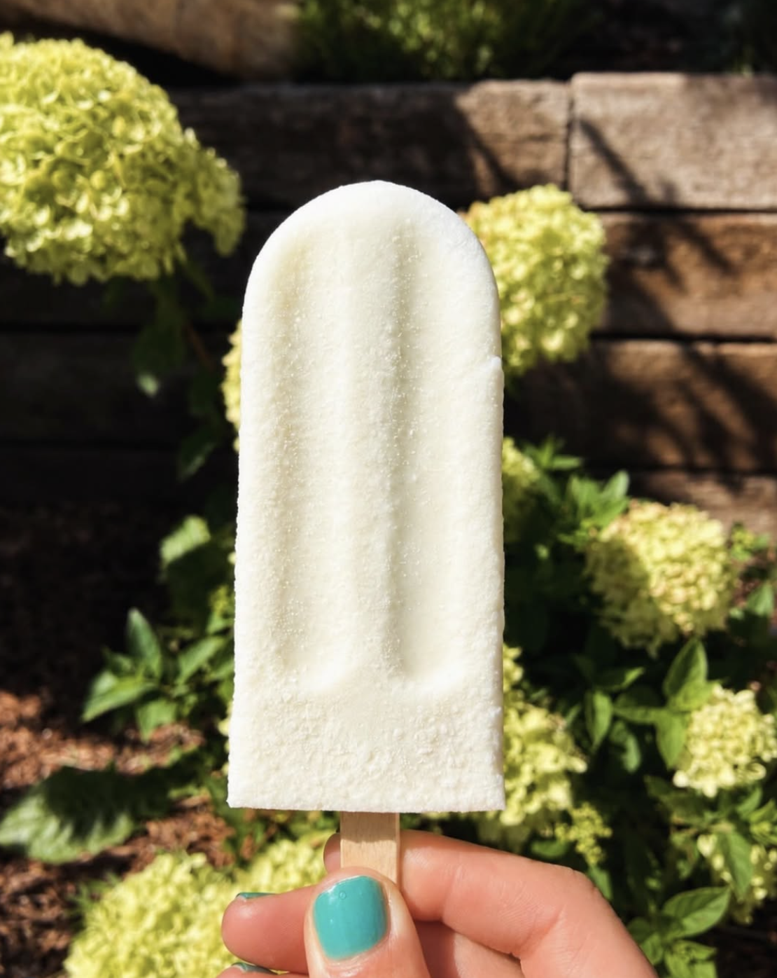 Sha Sha Pops' Coconut Pop