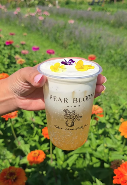 Pear Bloom Farm Peaches &amp; Cream Garden Soda 