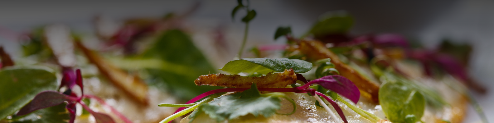 Dining table with food and wine
