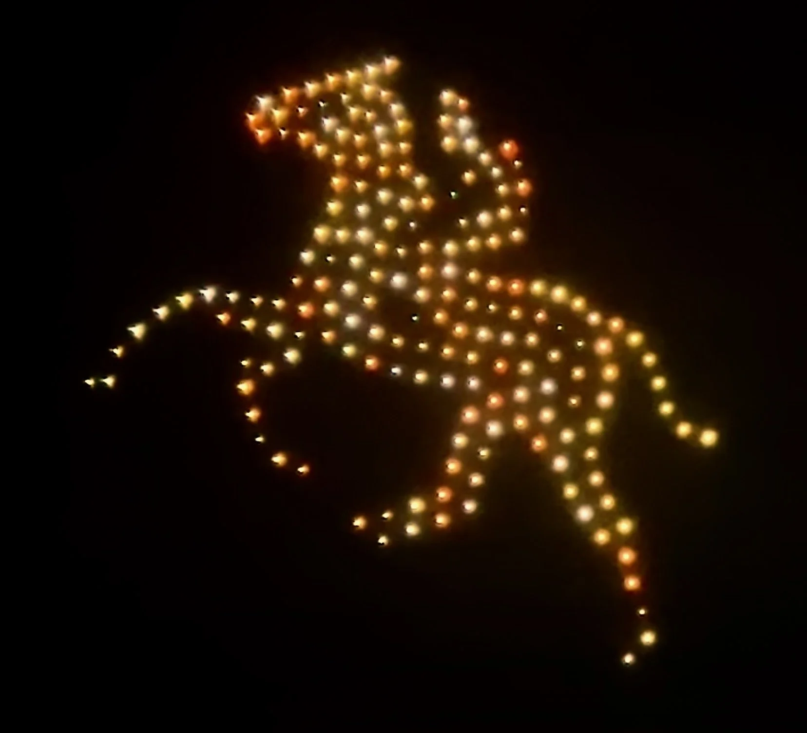 Horse racing in drones at Ascot Racecourse