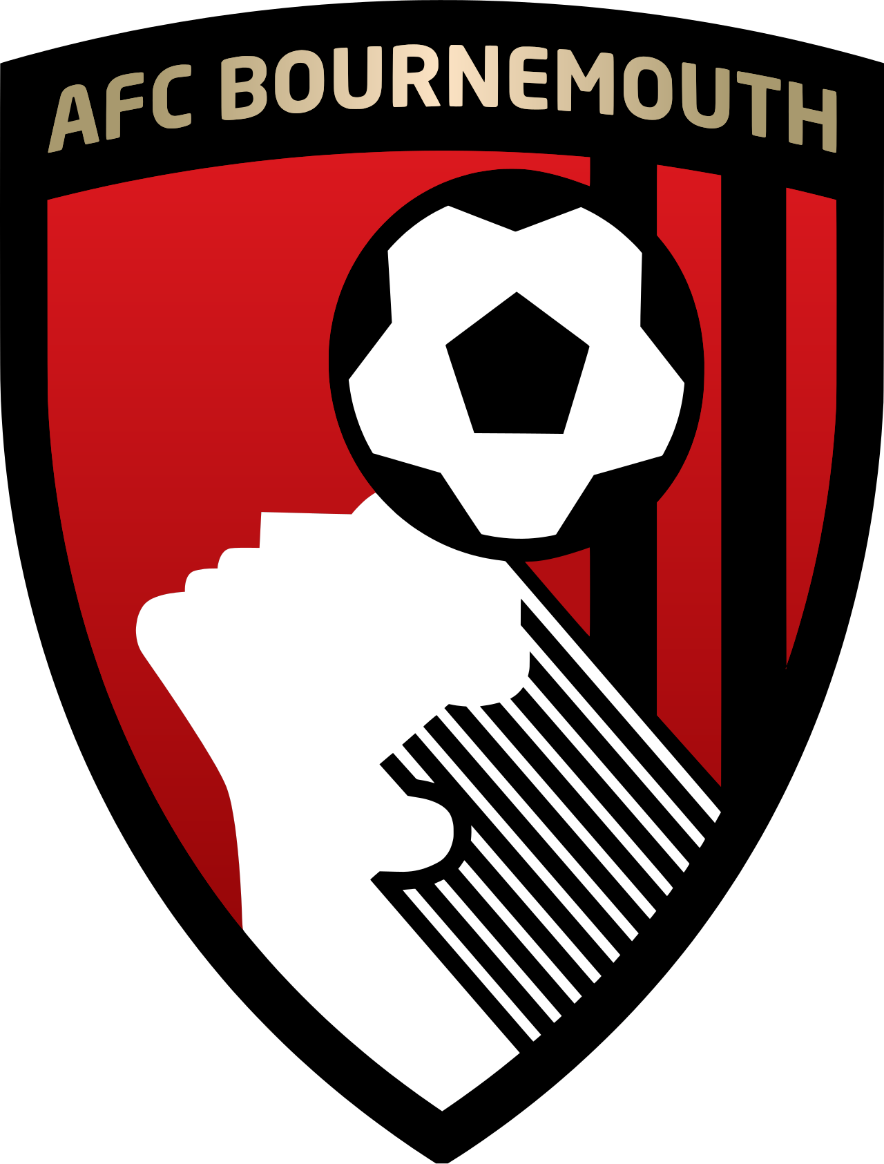 AFC Bournemouth Shield