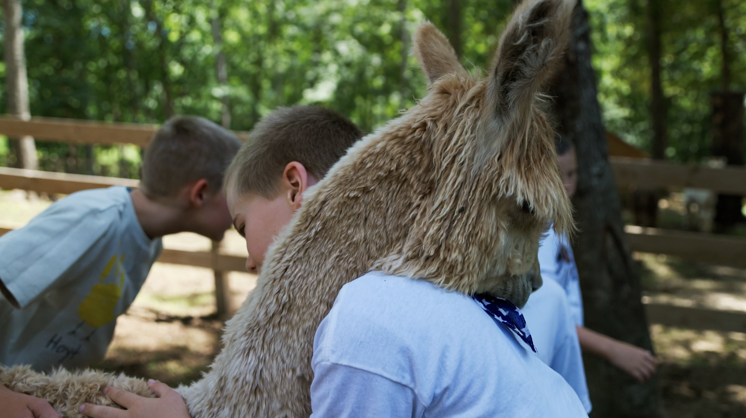 Two children and an alpaca outdoors in a wooded area, with the children leaning forward and the alpaca's head resting on a person's shoulder.