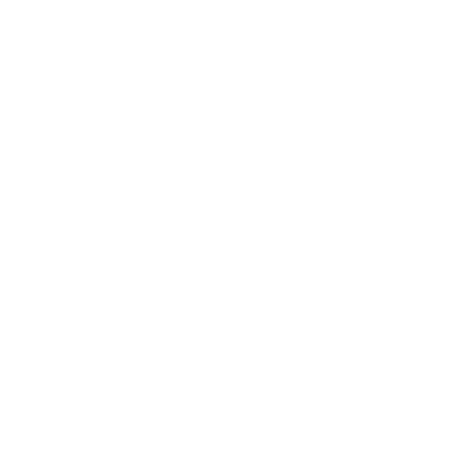 Award emblem with laurel leaves for Best Director at the 48 Hour Fairhope Film Festival in 2025.